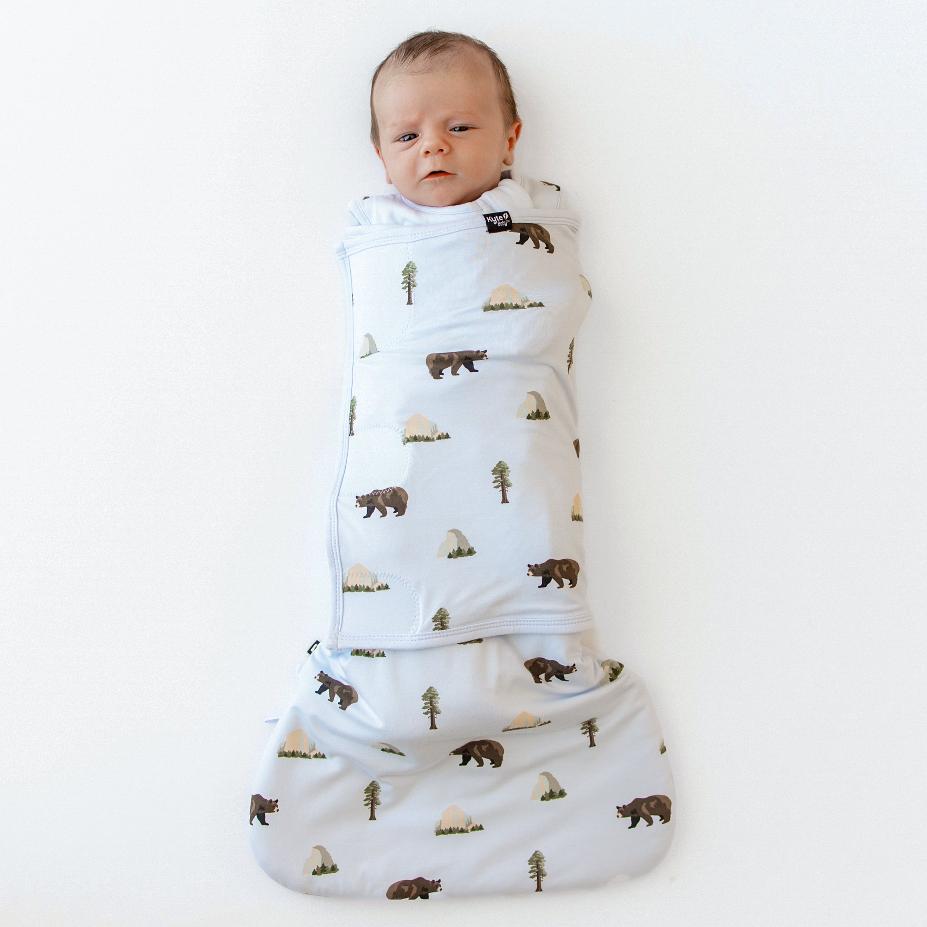 Baby in Sleep Bag Swaddler in Yosemite 1.0