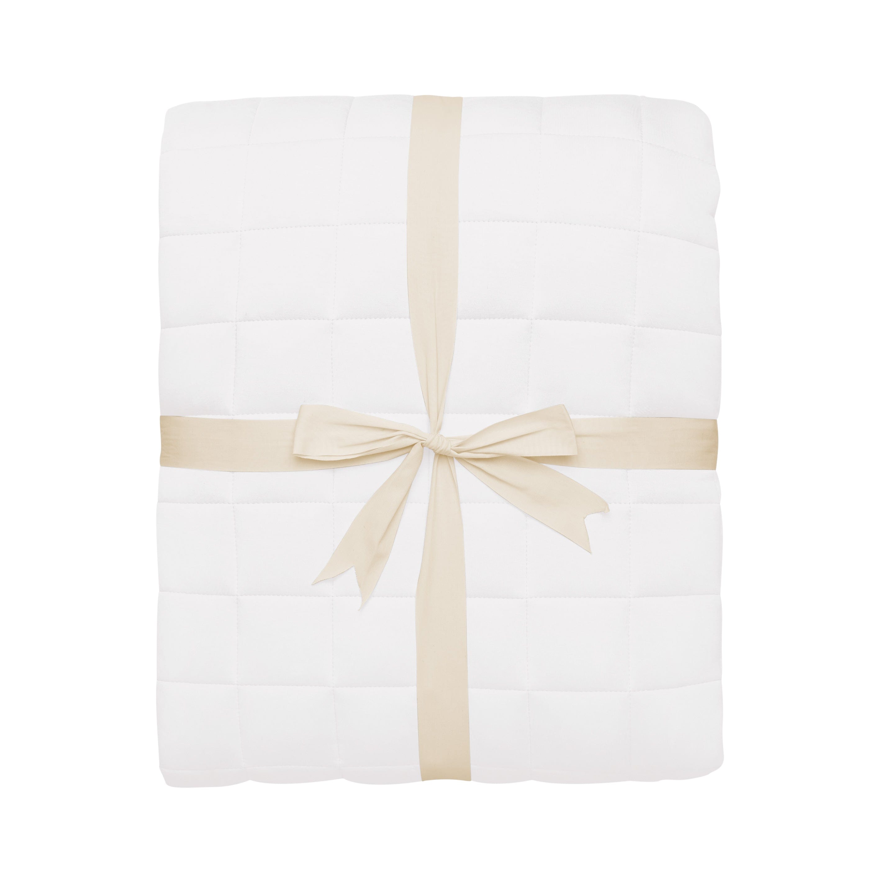 Kyte Baby Adult Quilted Blanket in Cloud 3.5