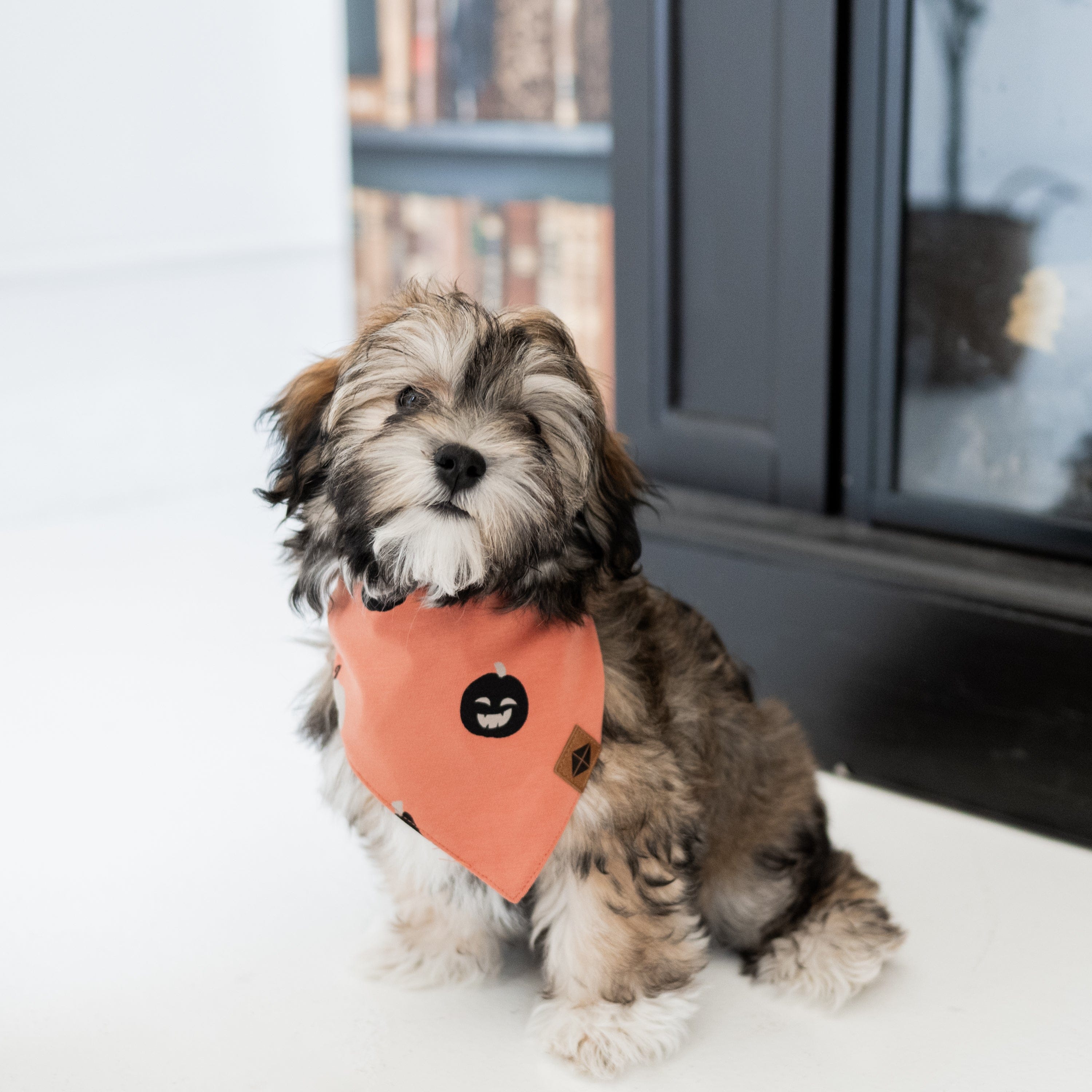 Kyte Baby Dog Bandana Dog Bandana in Carve