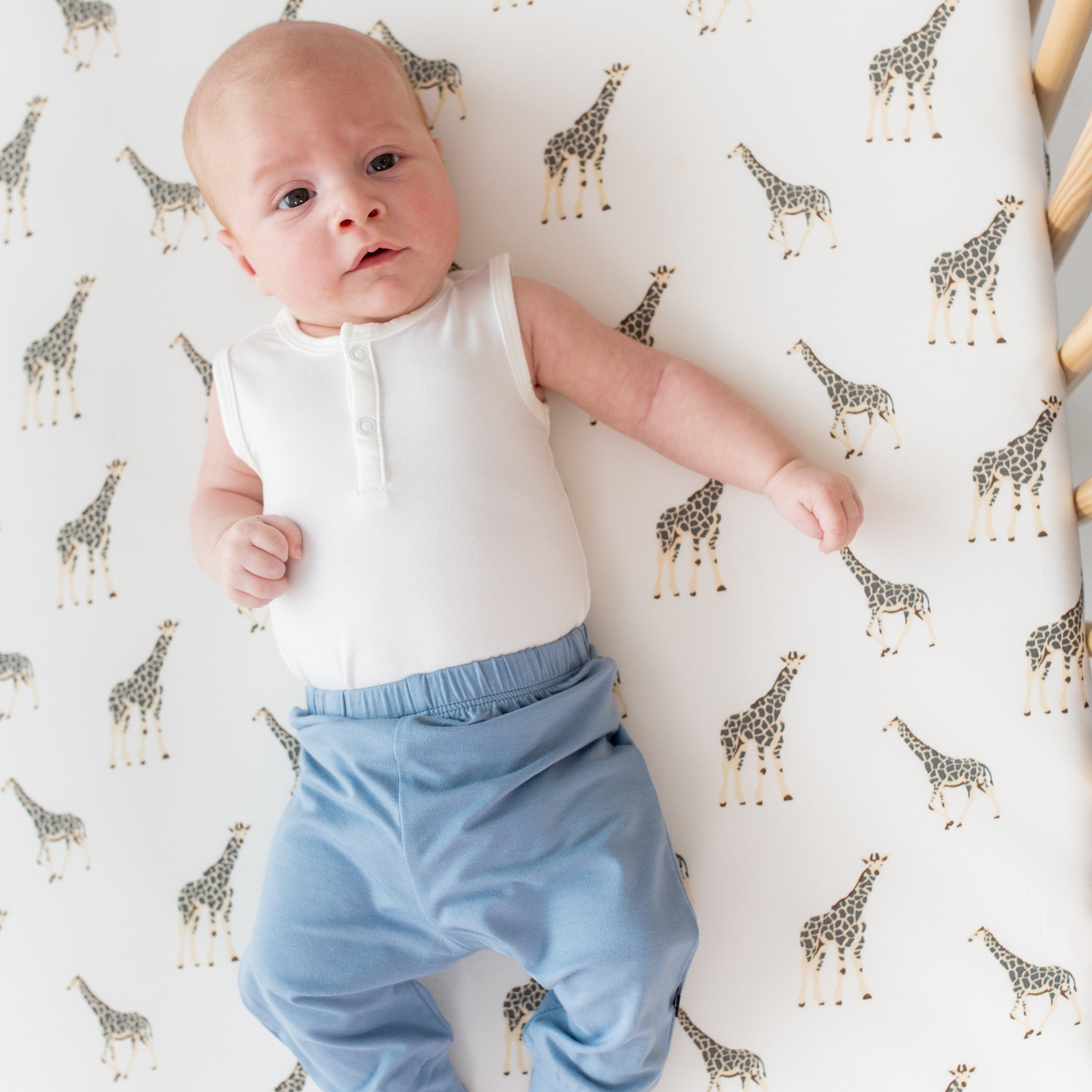 Newborn laying on a Crib Sheet in Giraffe while wearing Kyte Baby Pants in Slate
