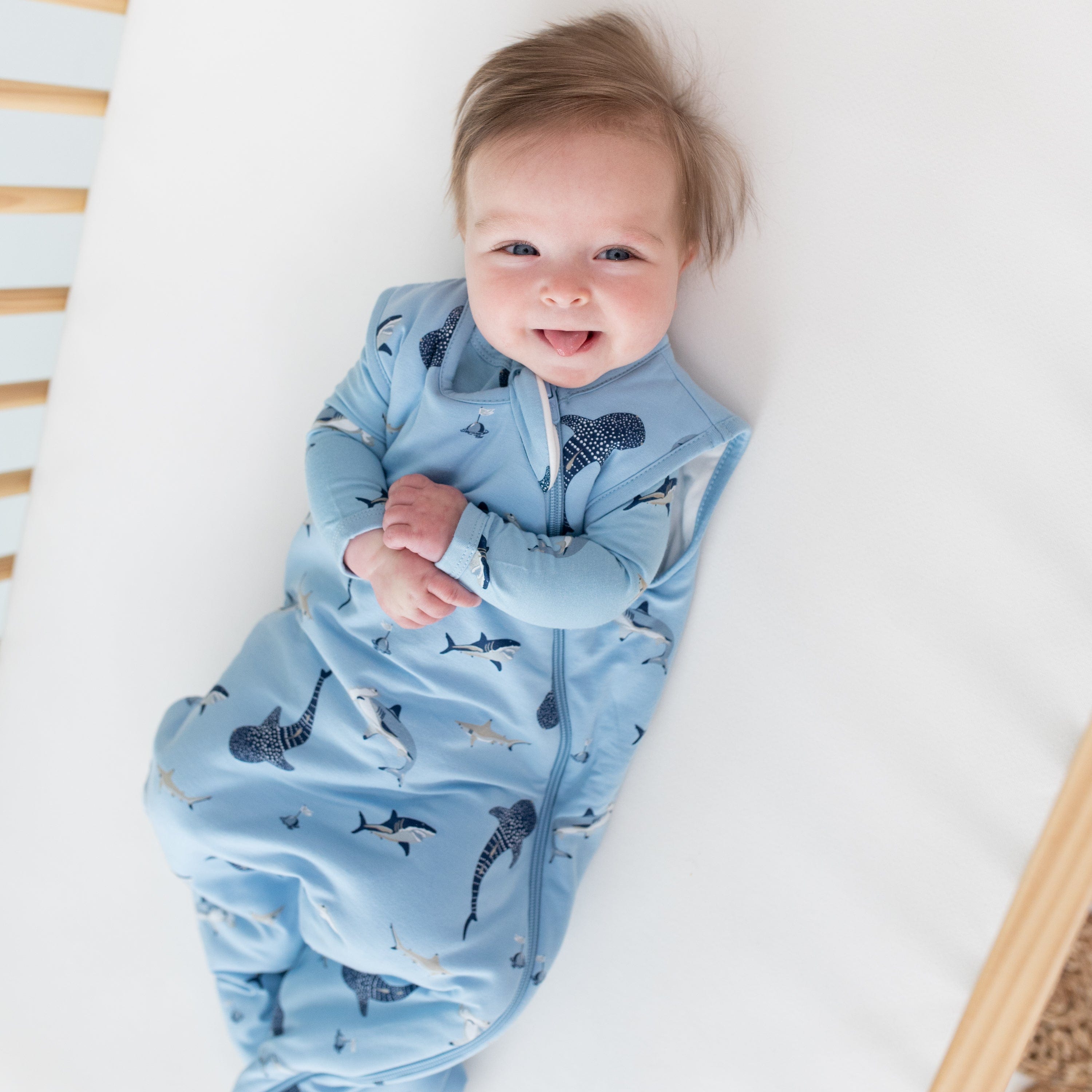 Infant wearing Kyte Baby Sleep Bag in Stream Shark 1.0