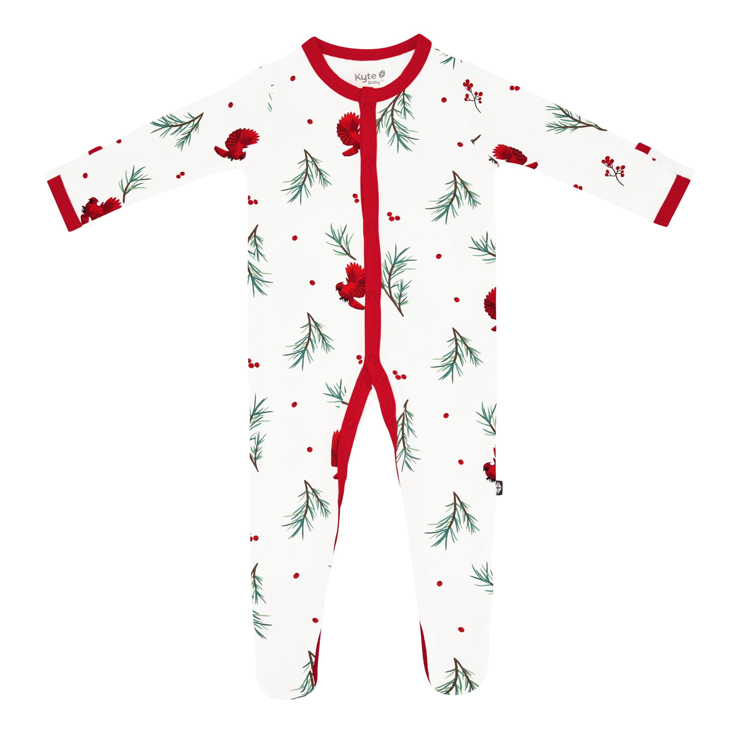Kyte Baby Snap Footies Footie in Winterberry