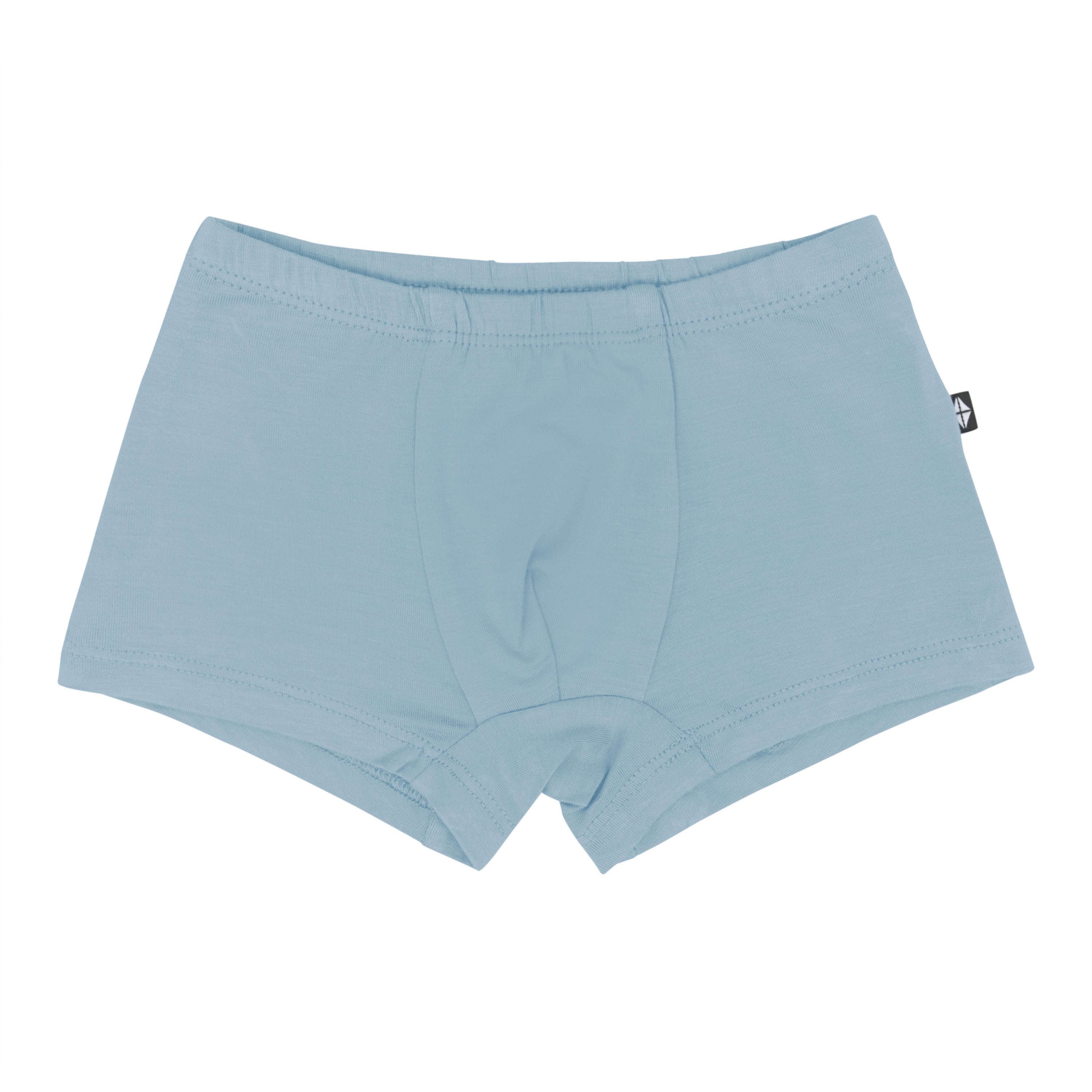 Kyte Baby Underwear Briefs in Dusty Blue