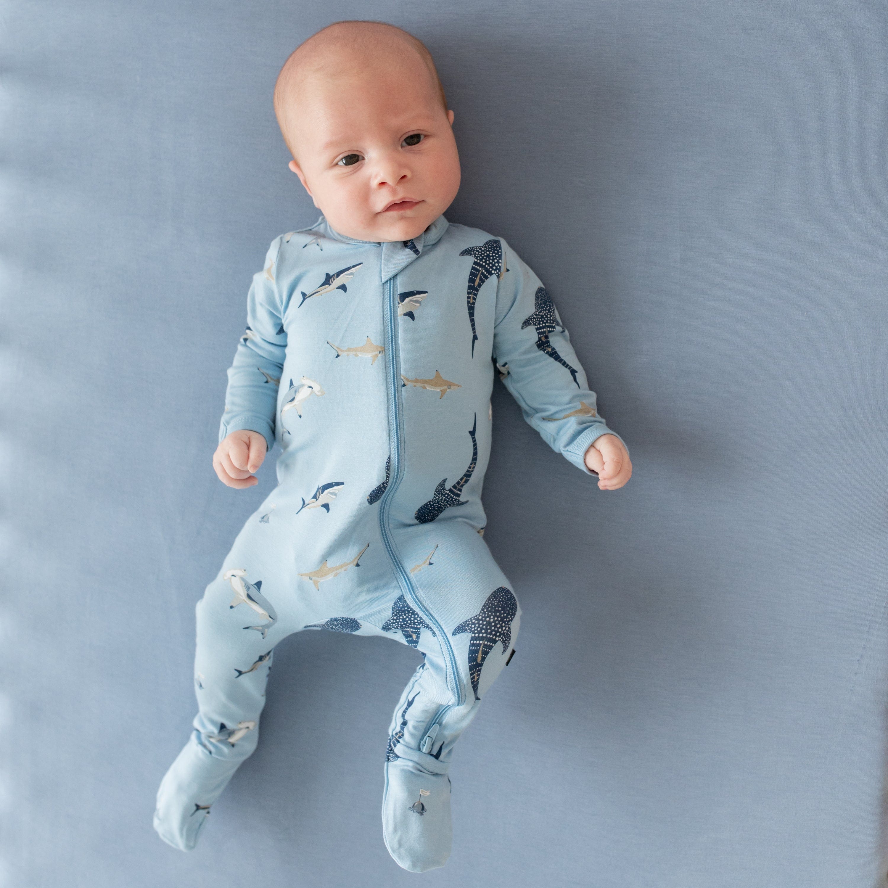 Infant wearing Kyte Baby Zippered Footie in Stream Shark