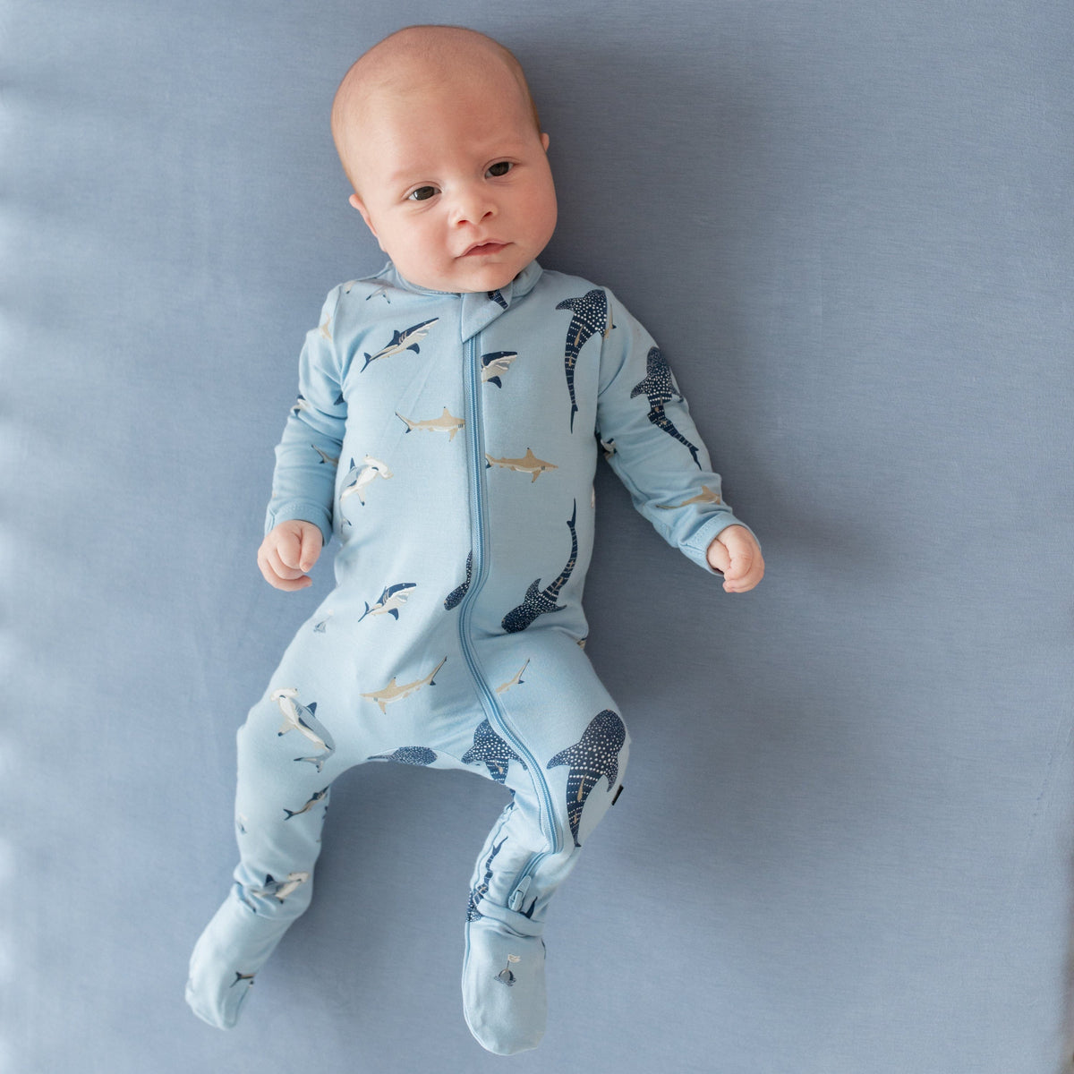 Infant wearing Kyte Baby Zippered Footie in Stream Shark