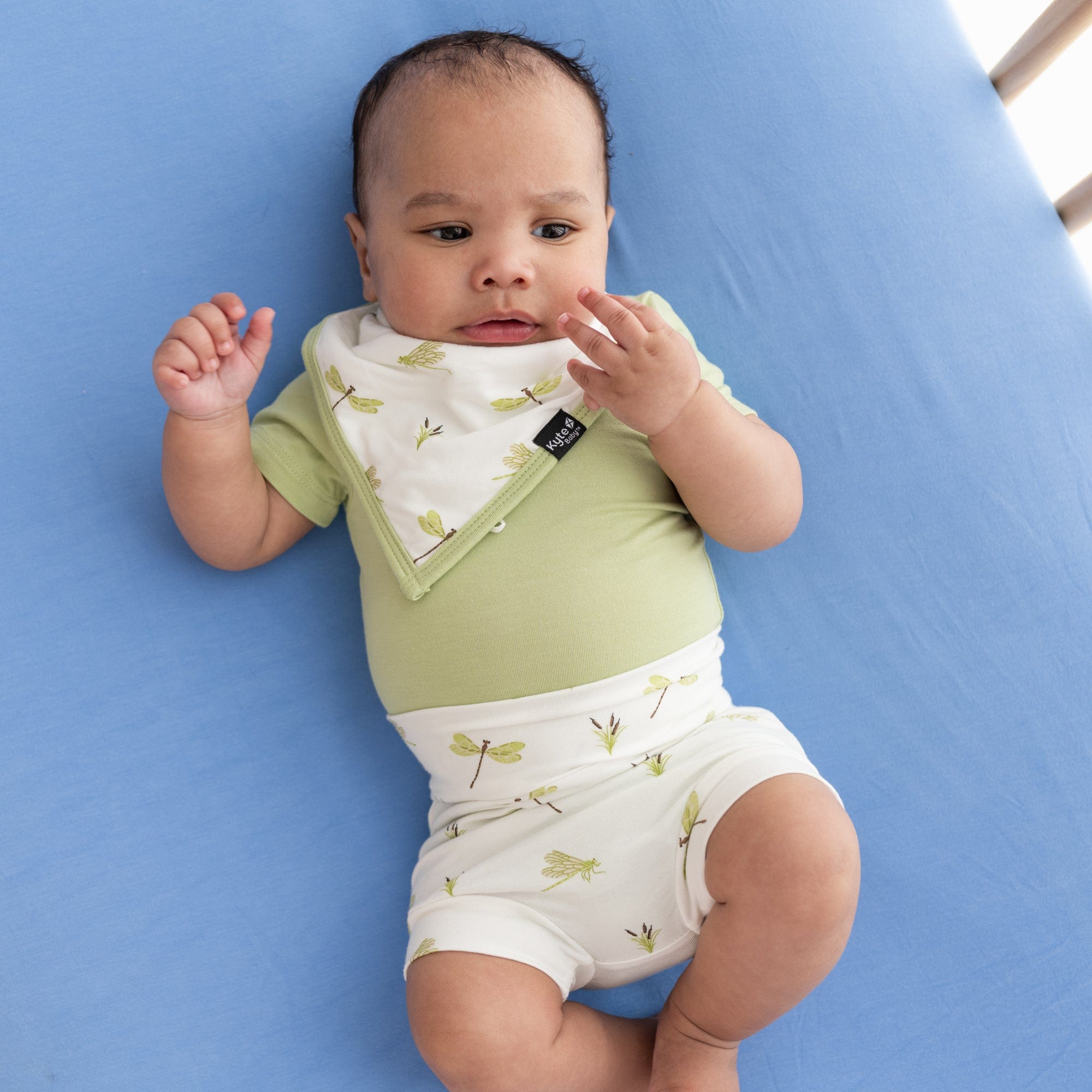 Kyte BABY Bib Dragonfly Bib in Dragonfly