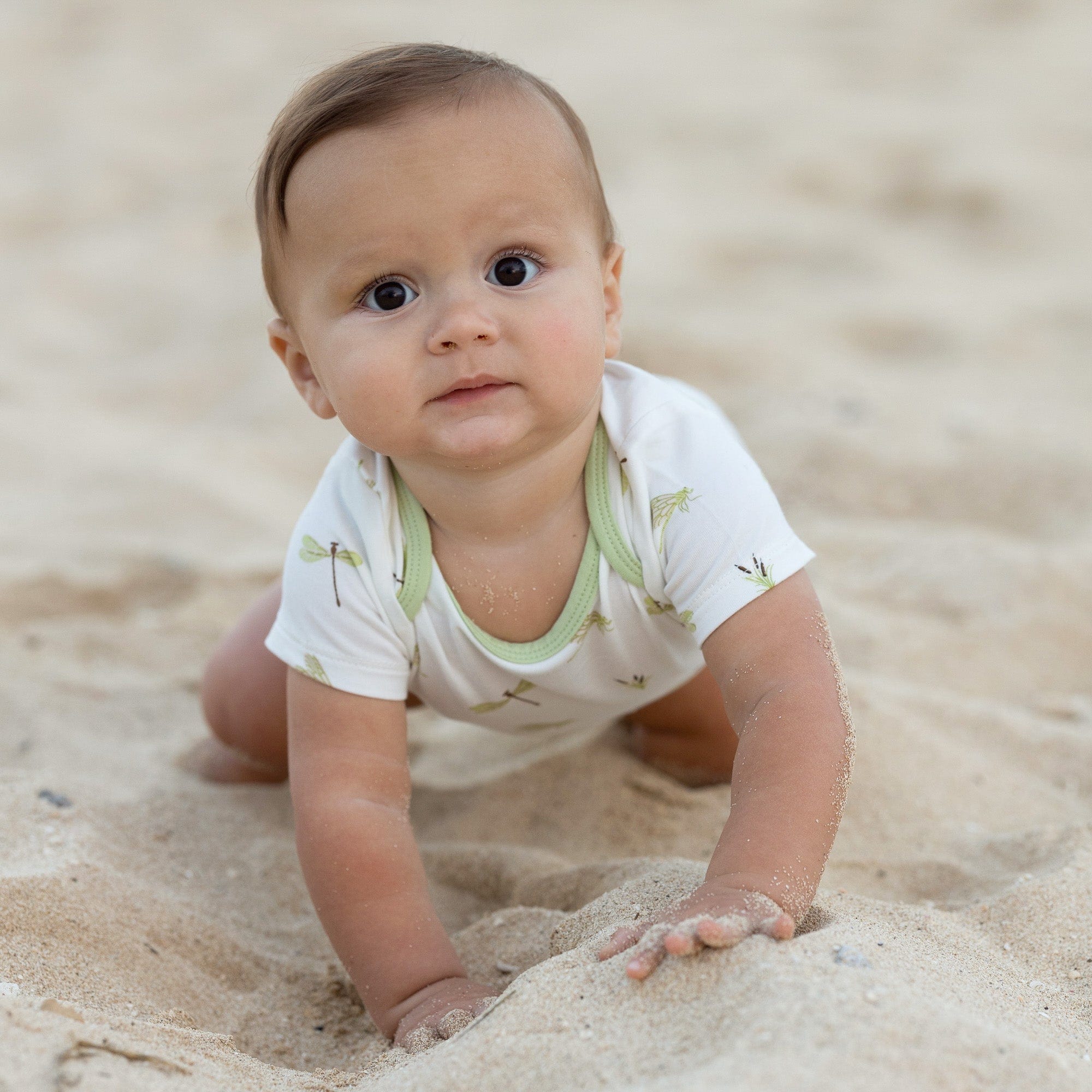 Kyte BABY Short Sleeve Bodysuits Bodysuit in Dragonfly