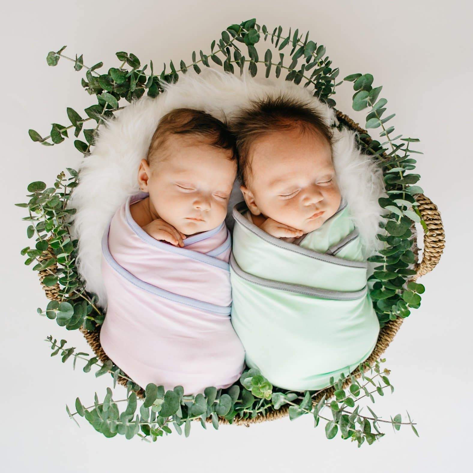 swaddled newborn twins in mauve and sage