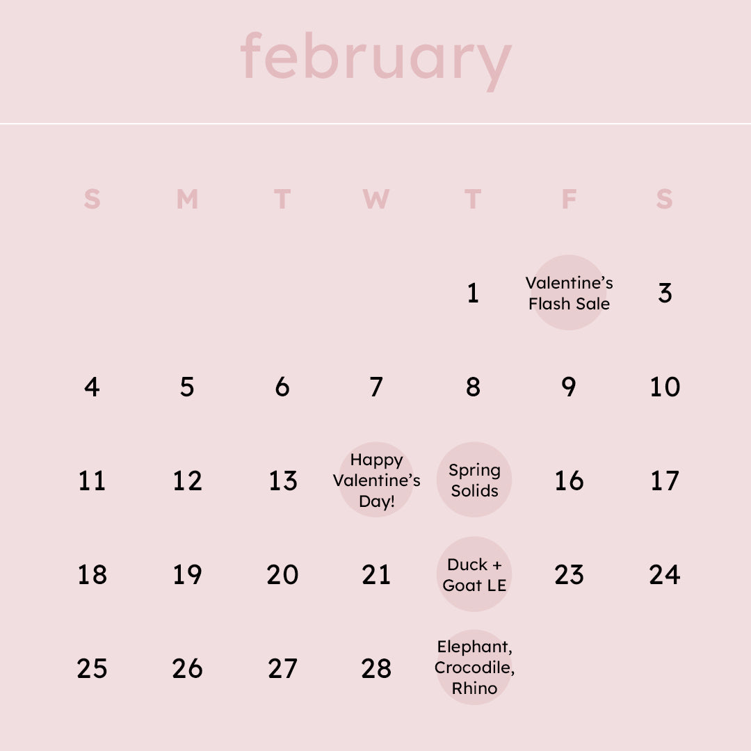 Kyte Baby February '24 Launch Calendar