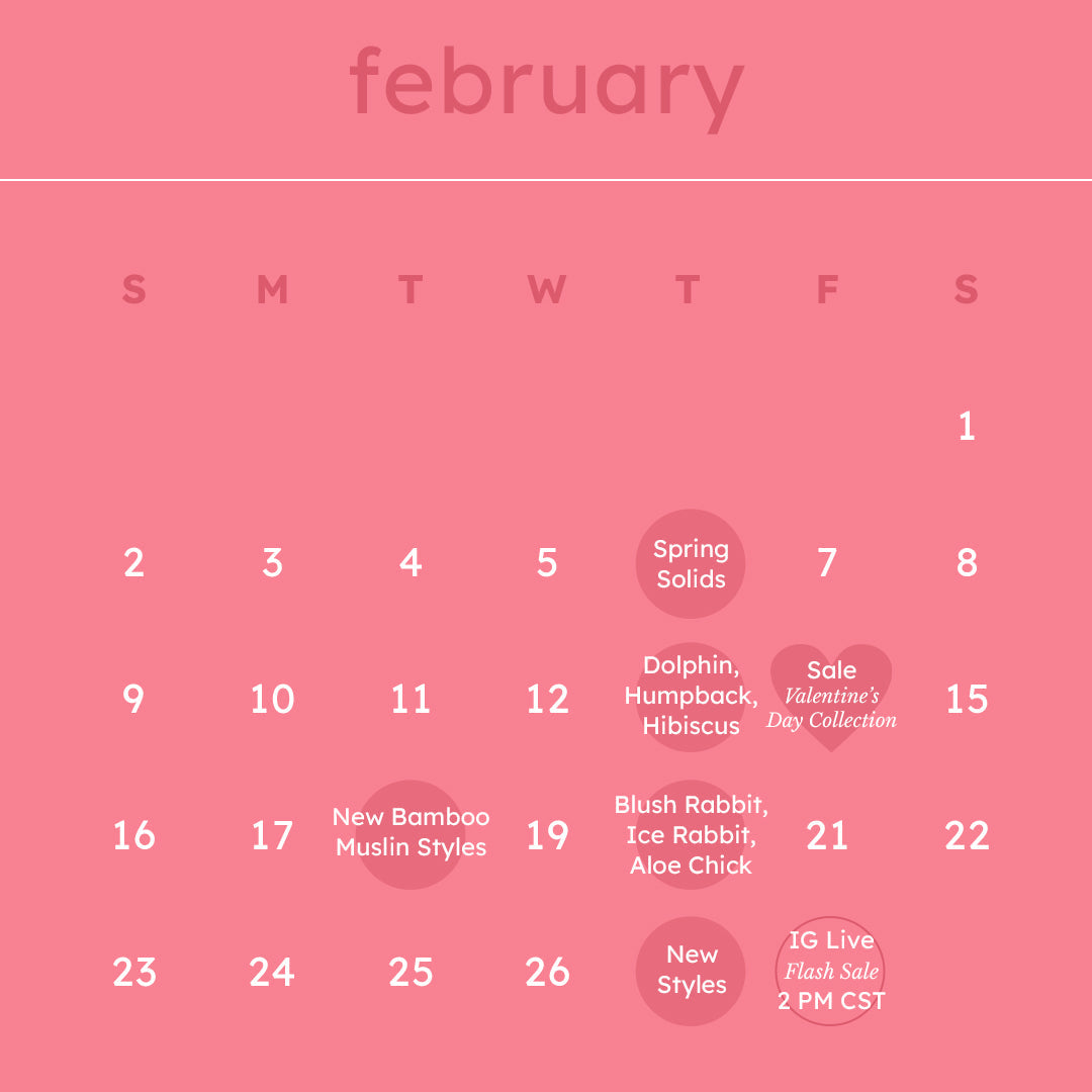 Kyte Baby February 2025 Calendar