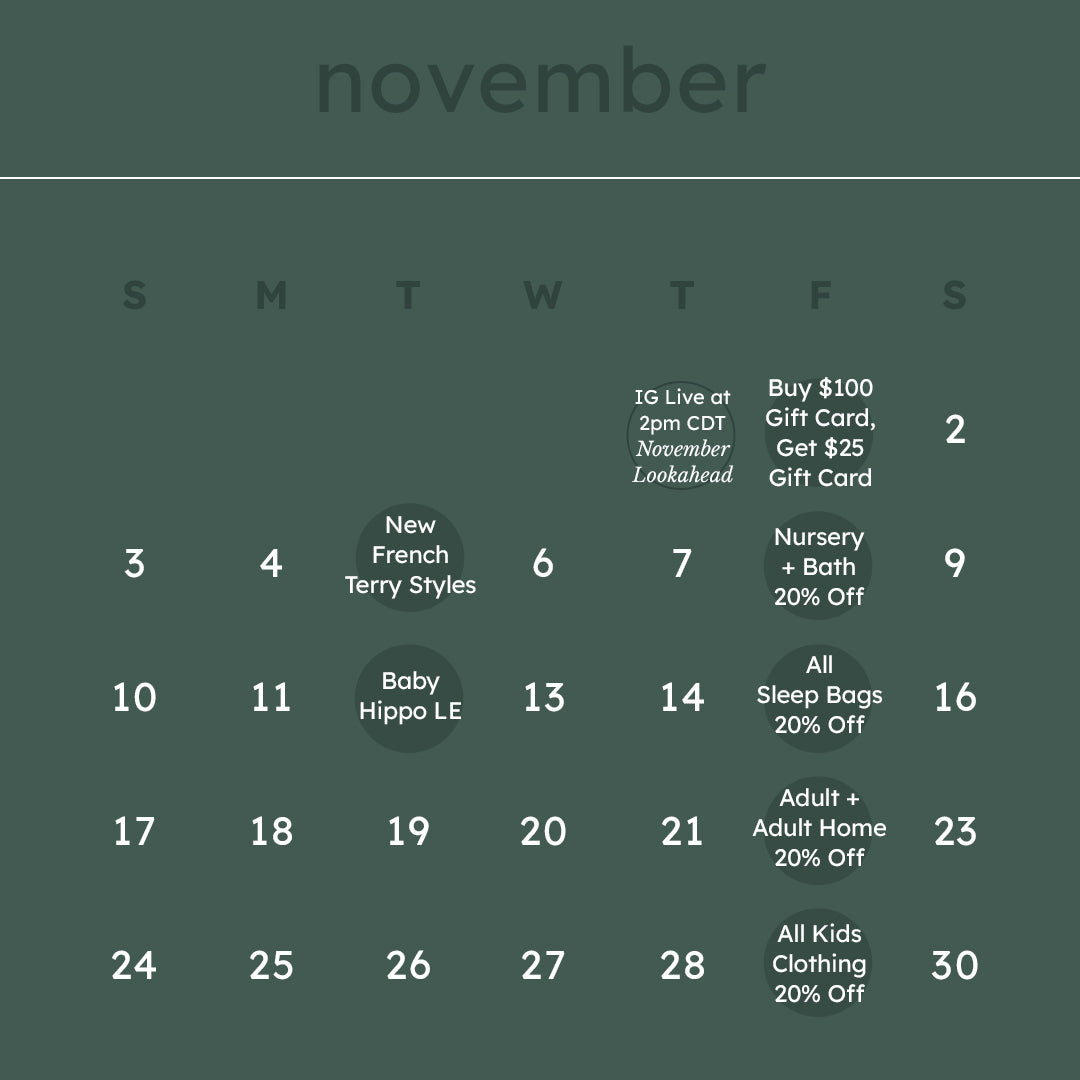 November 2024 Launch Calendar Overview