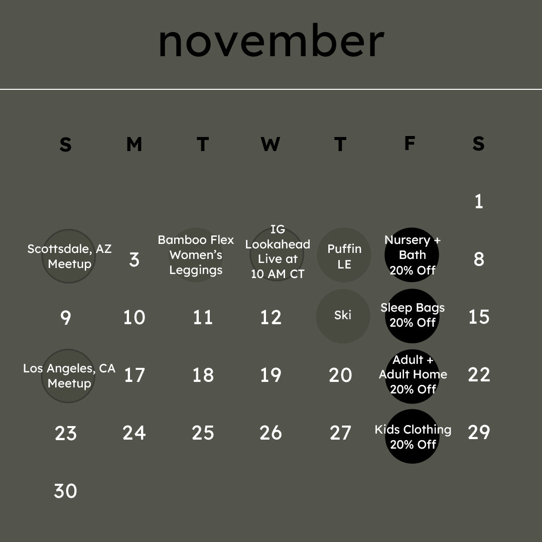 November 2025 Launch Calendar Overview