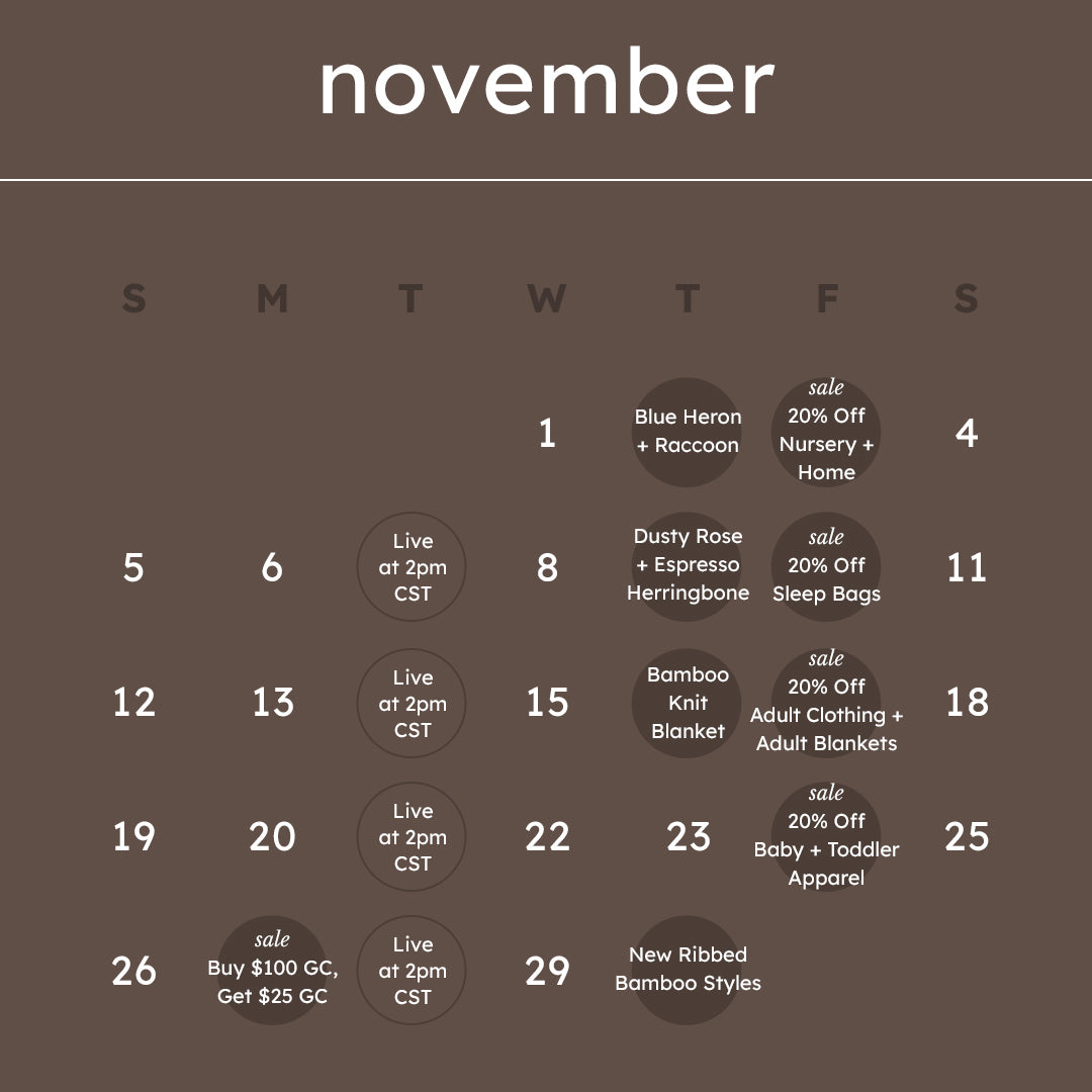 November Launch Calendar Overview