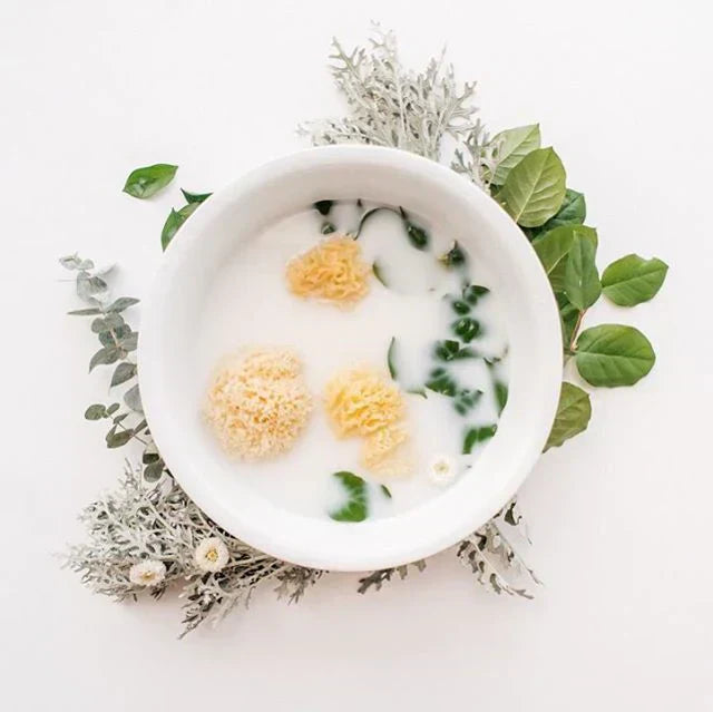 Bath basin with breast milk and sponges