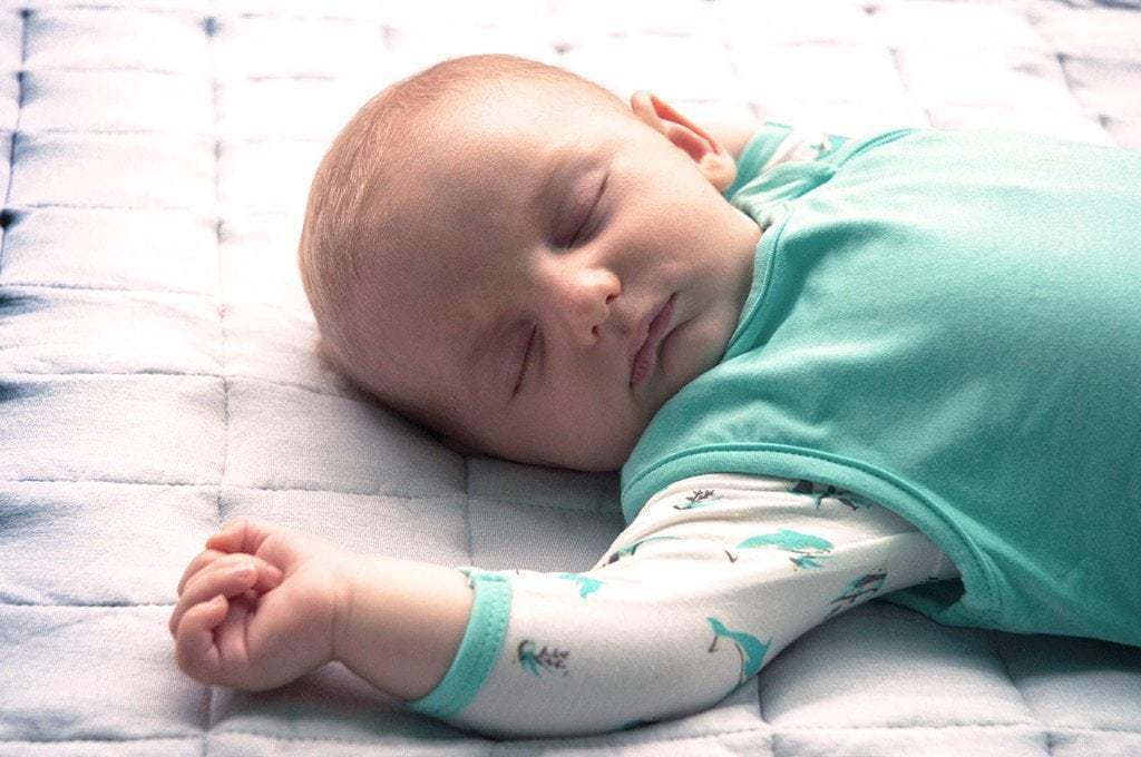 Sleep Bags: History & Function