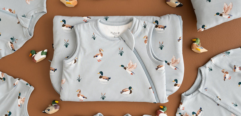 Mallard Duck Collection