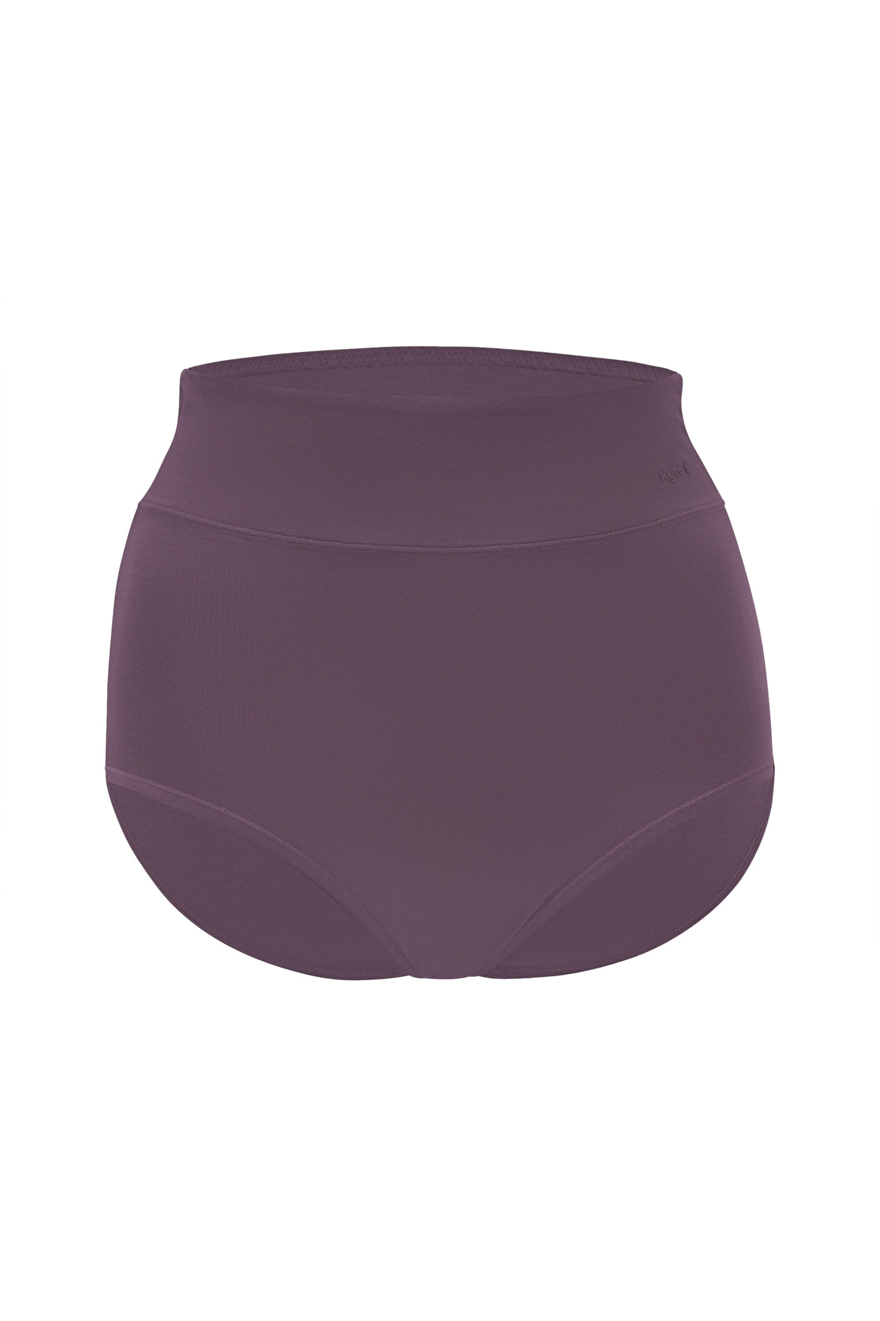 Women's High-Waisted Brief in Currant shown on a ghost mannequin
