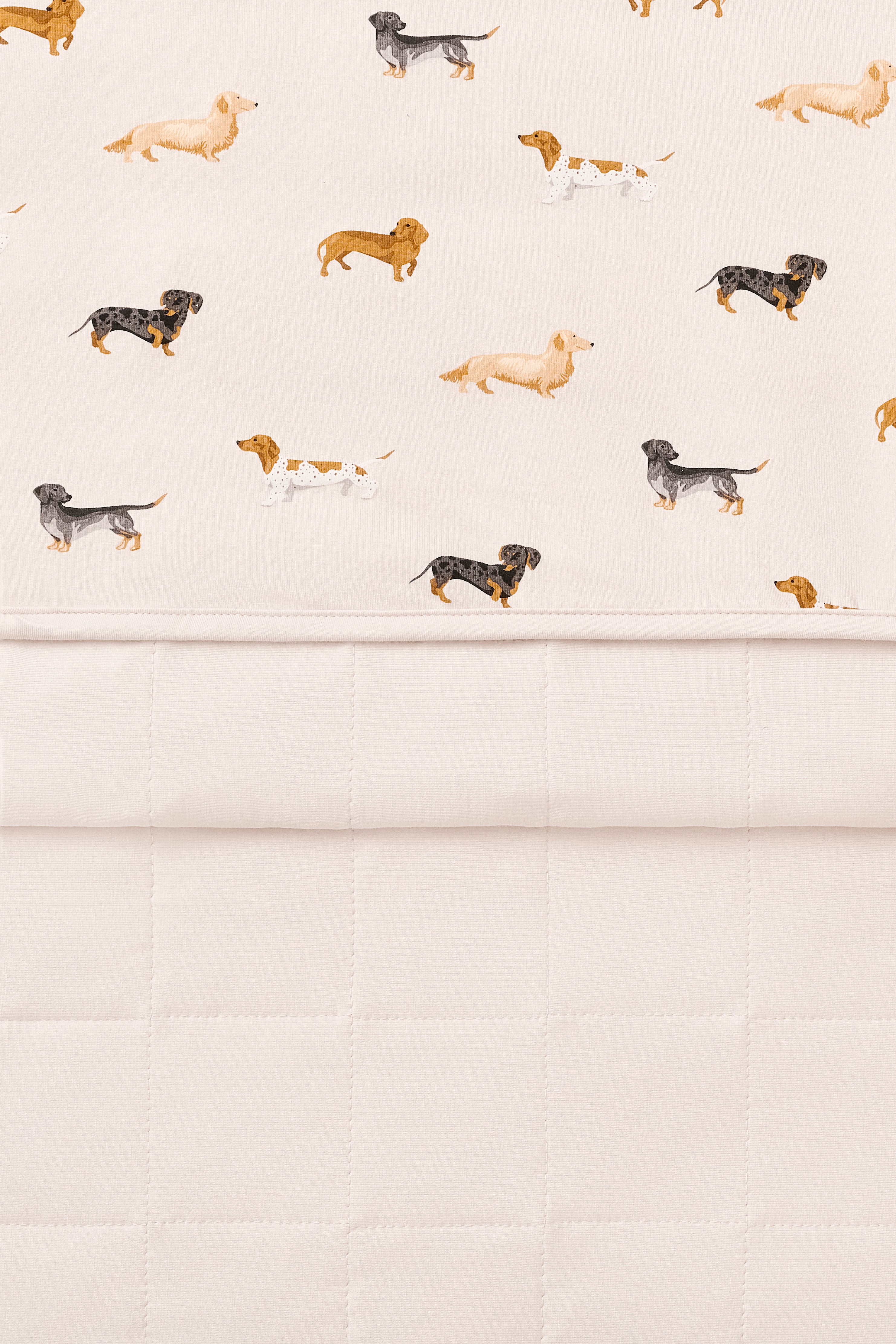 Front and Back of Beige Baby Blanket with Dachshund print