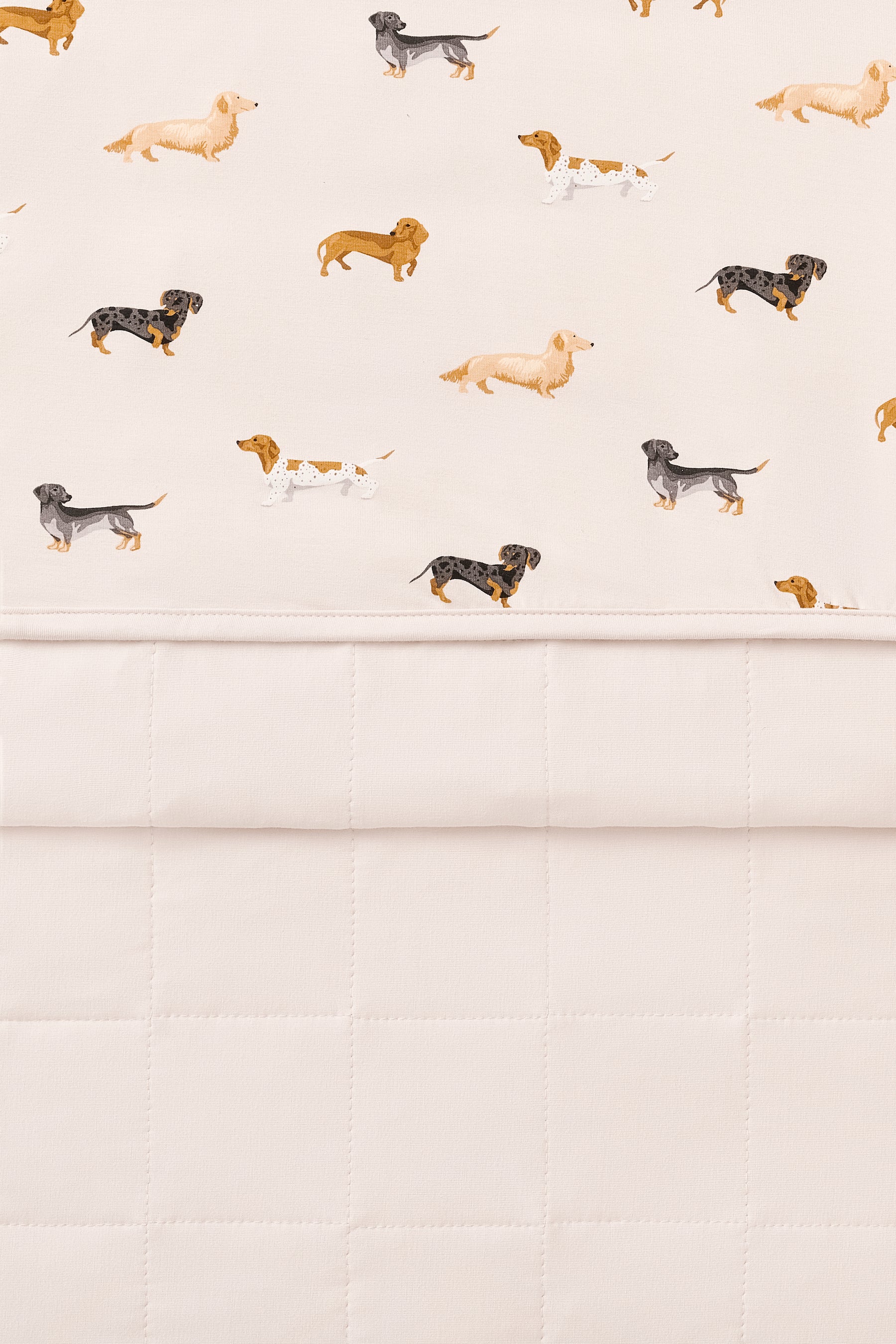 Front and Back of Beige Toddler Blanket in Dachshund print