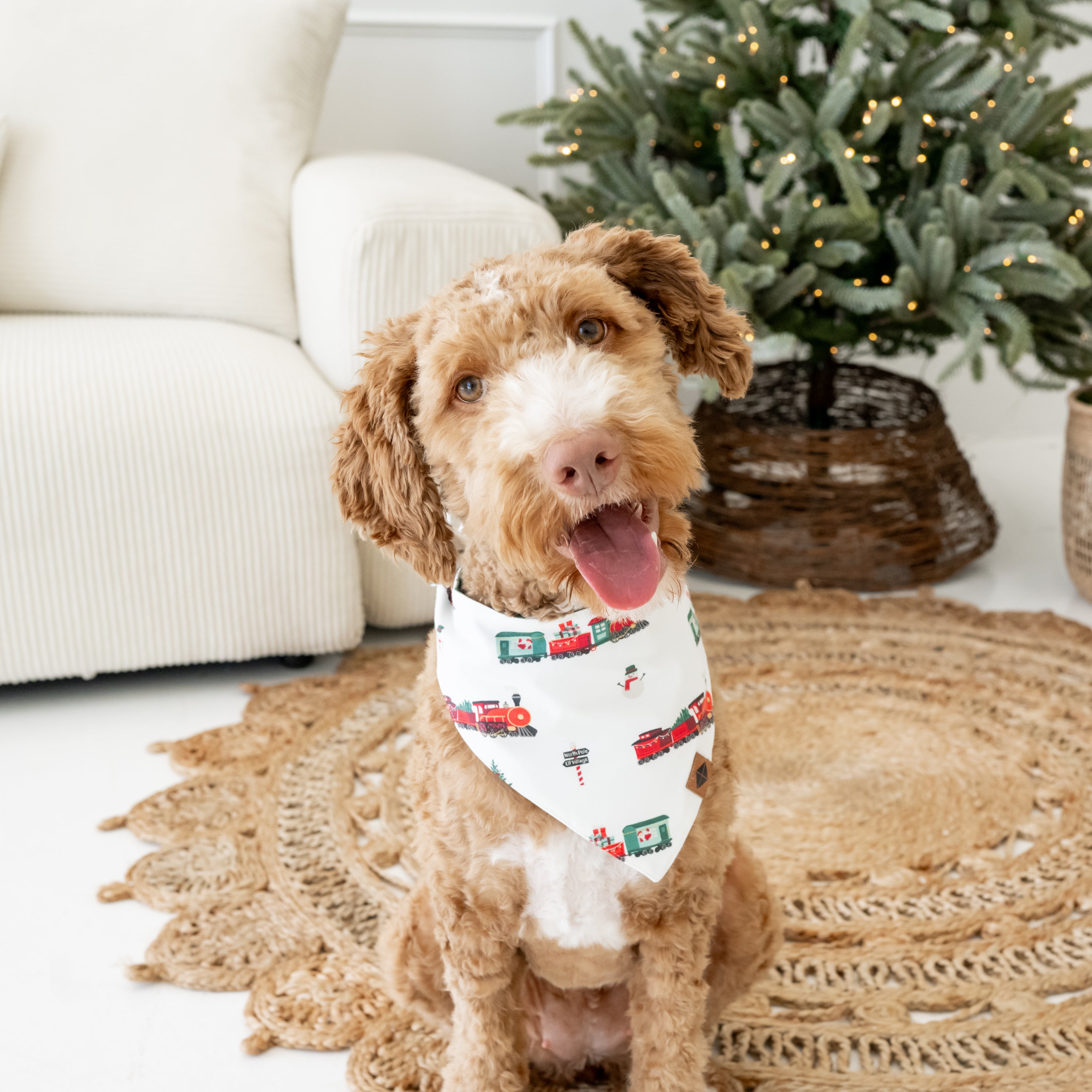 Dog Bandana in Holiday Train