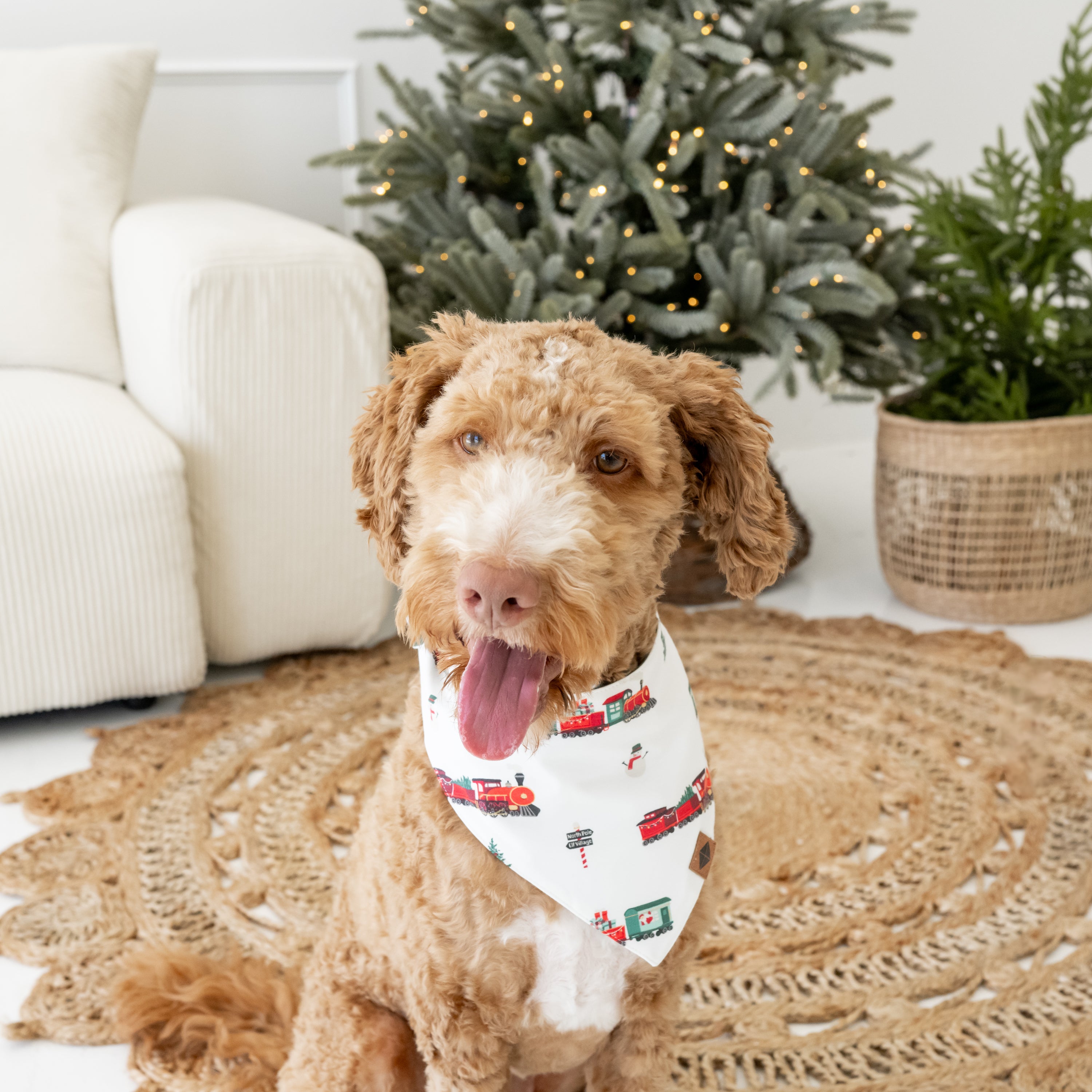 Dog Bandana in Holiday Train