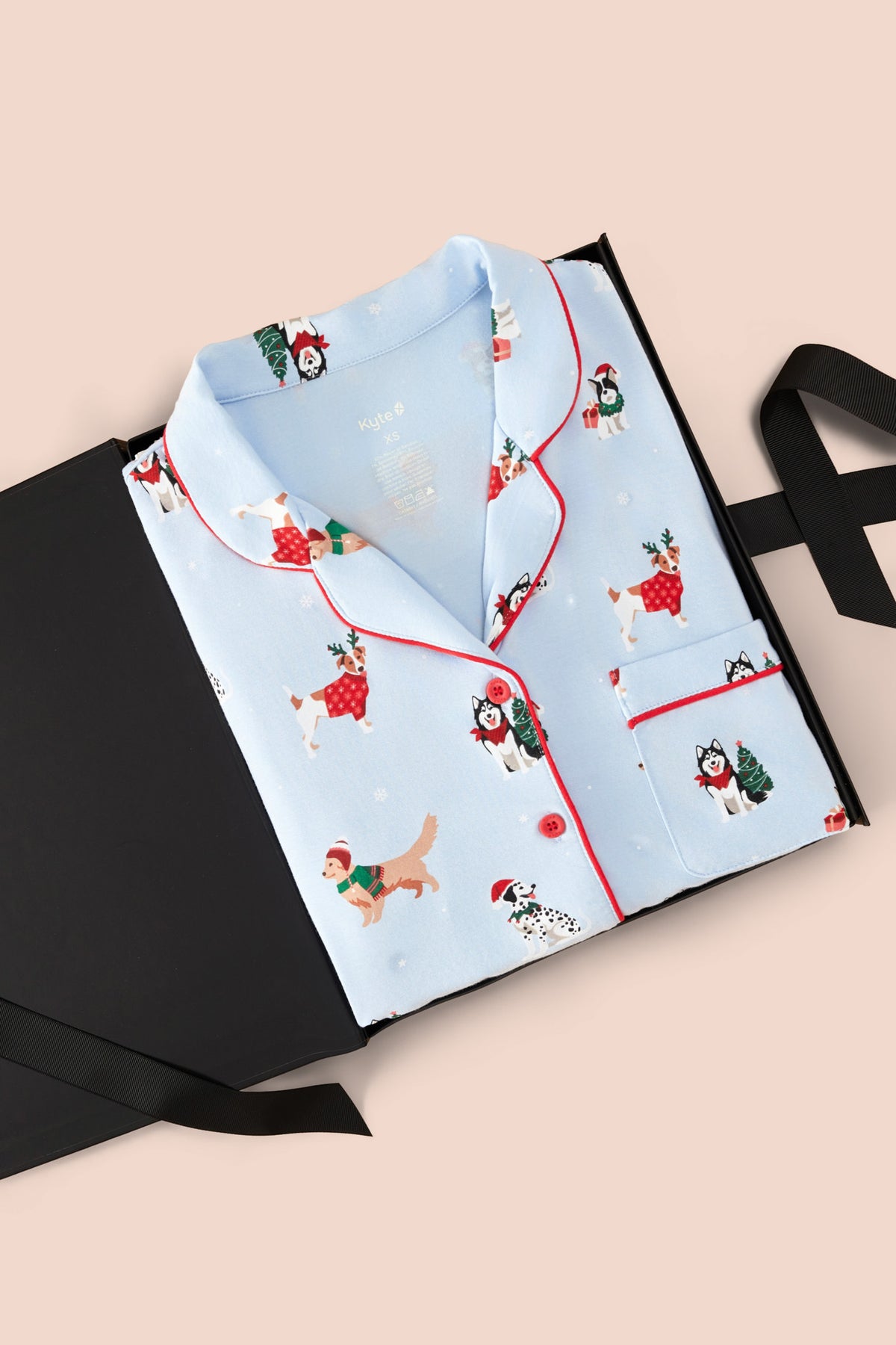 Blue Long-Sleeved Women's Pajama Set in Holiday Pups print packed in a box on a beige background