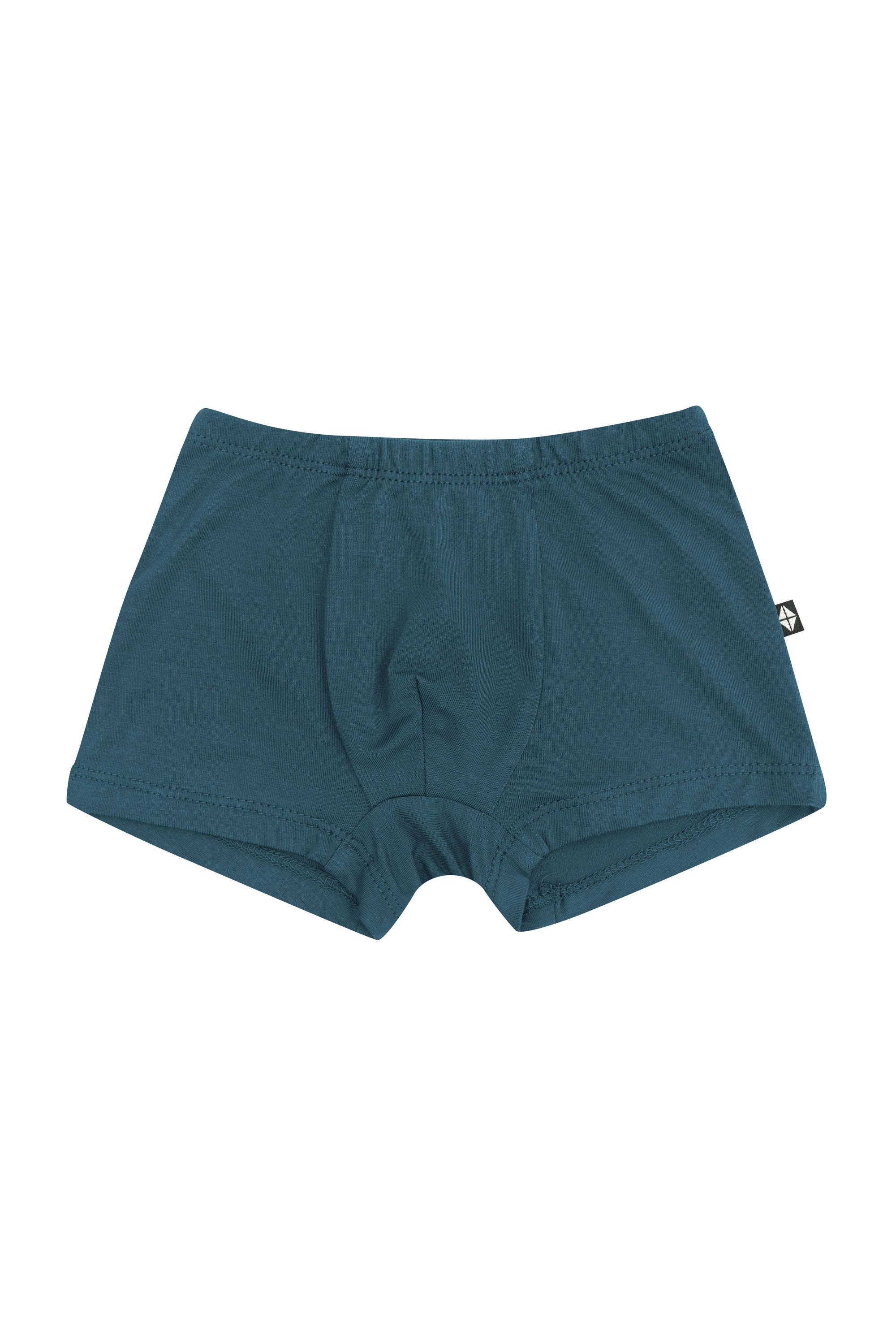 Product photo of the Briefs in Atlantic