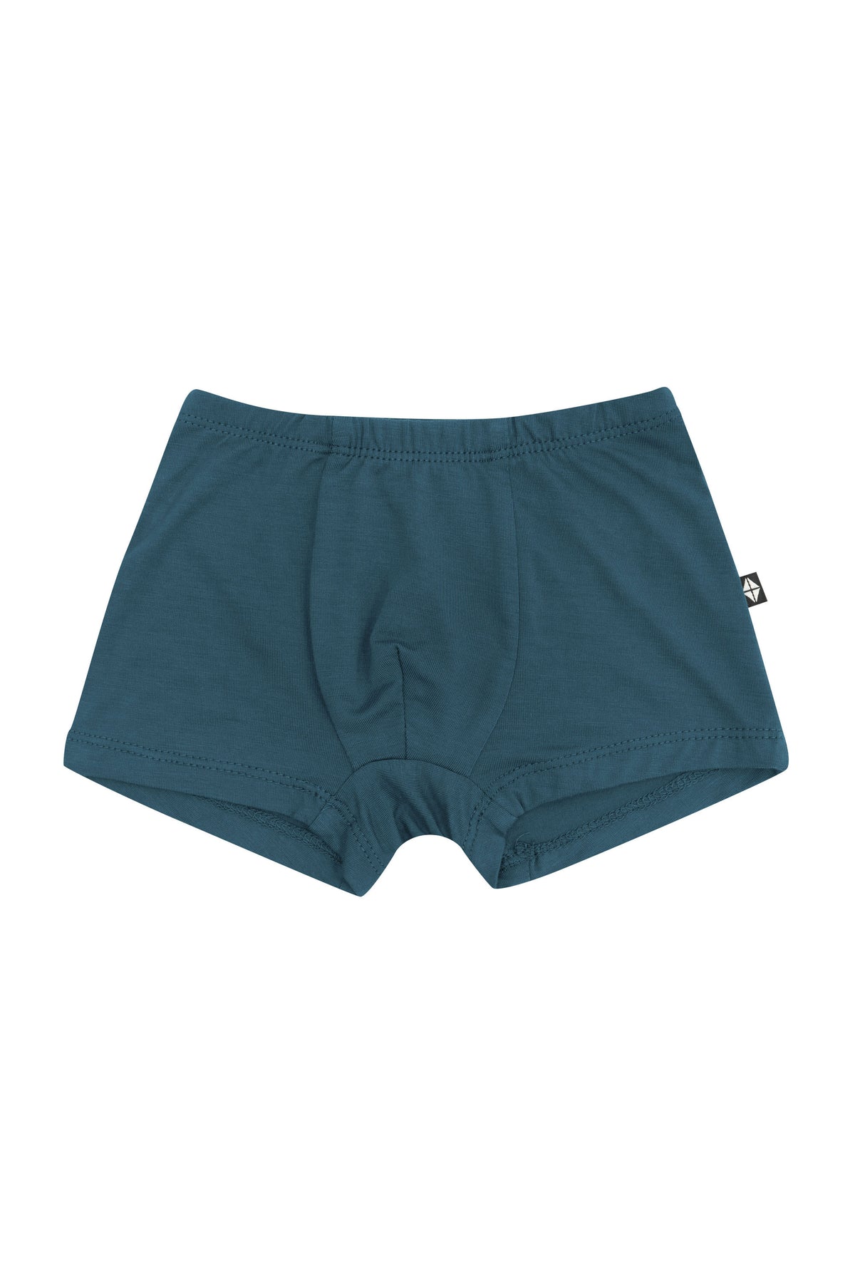 Product photo of the Briefs in Atlantic