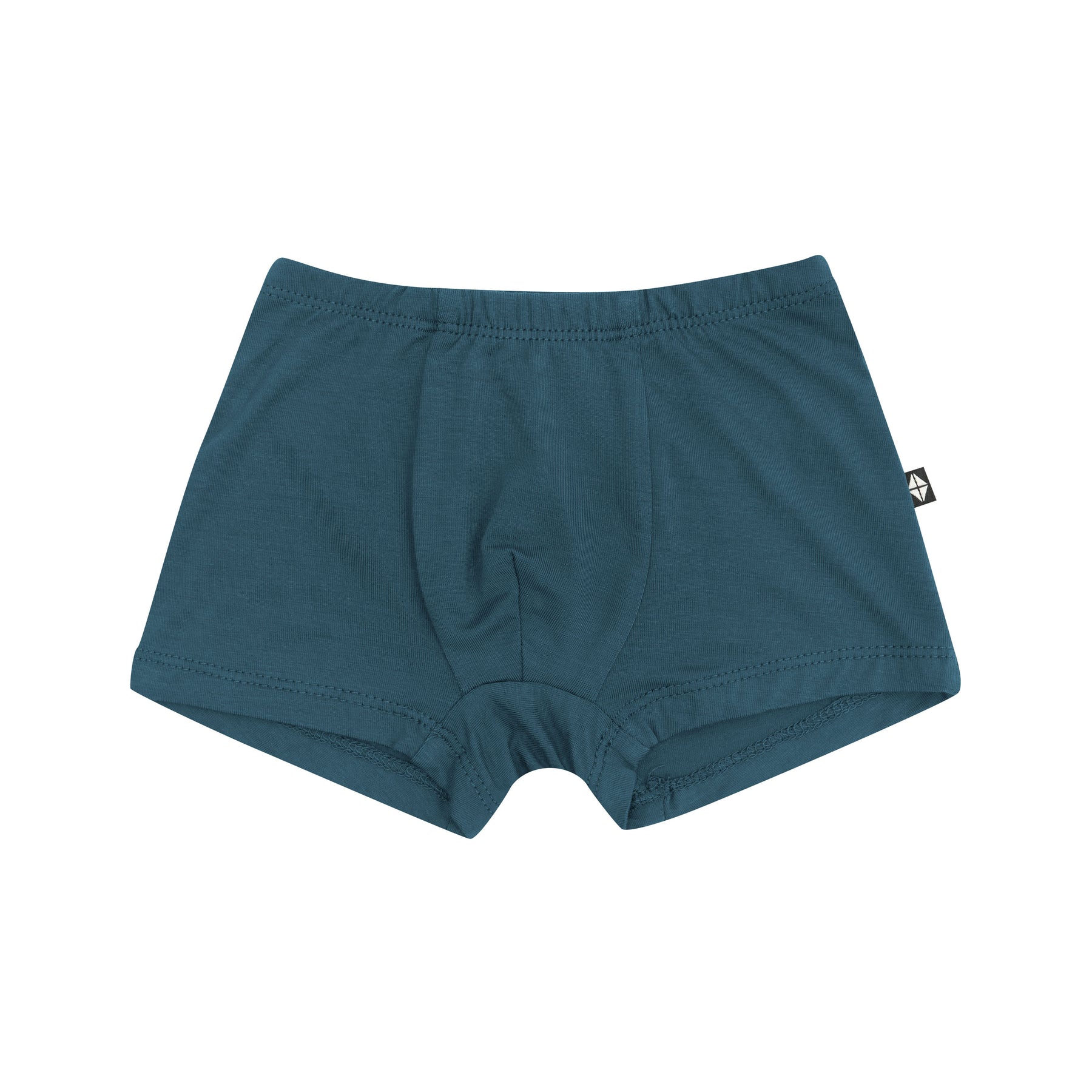 Product photo of the Briefs in Atlantic