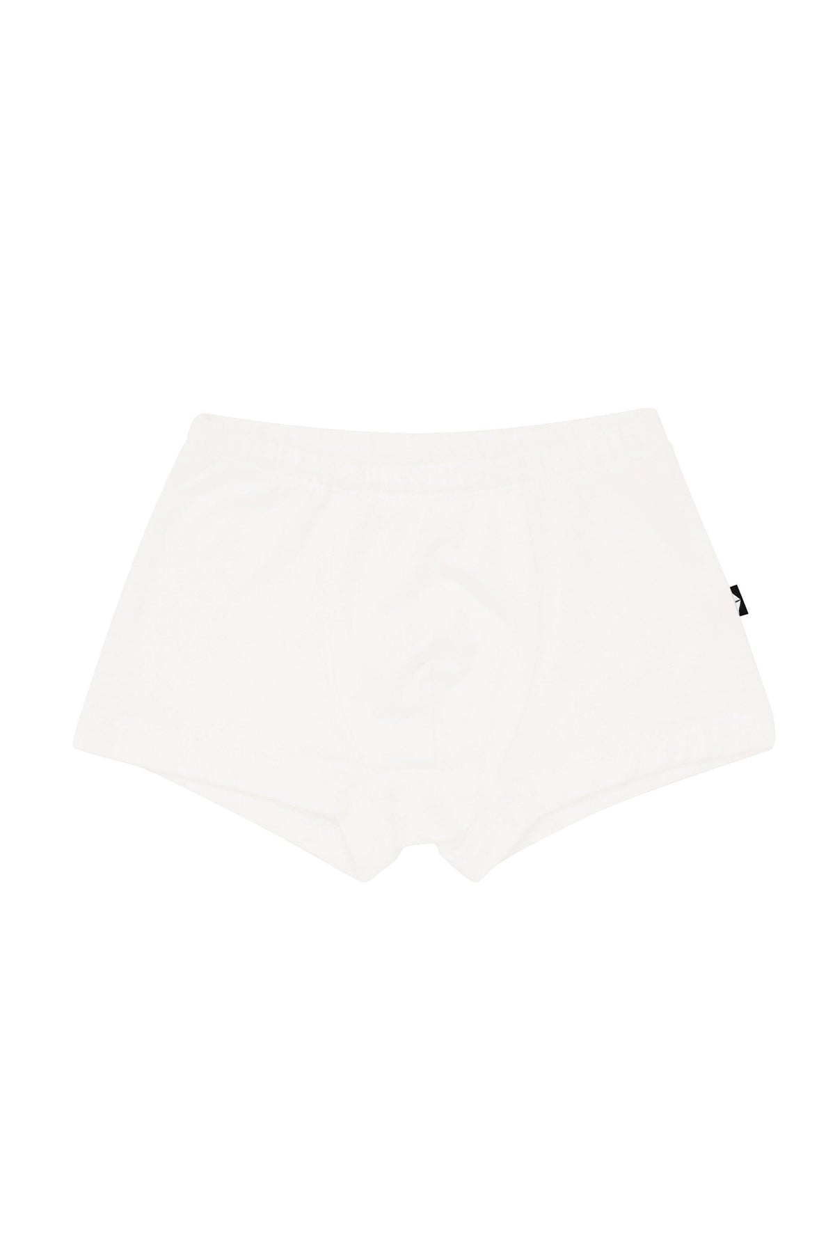 Briefs Cloud