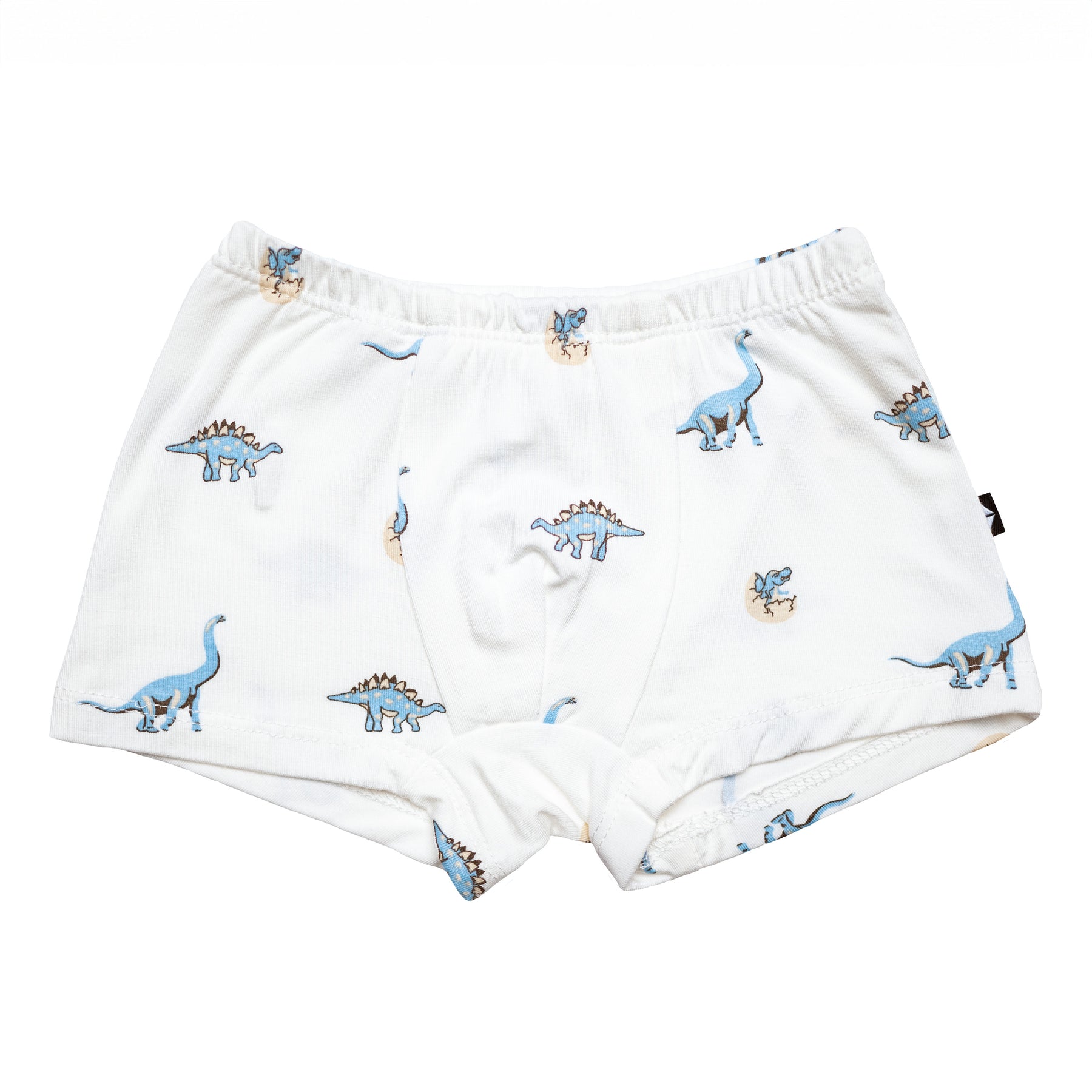 Dinosaur Underwear Briefs in Jurassic