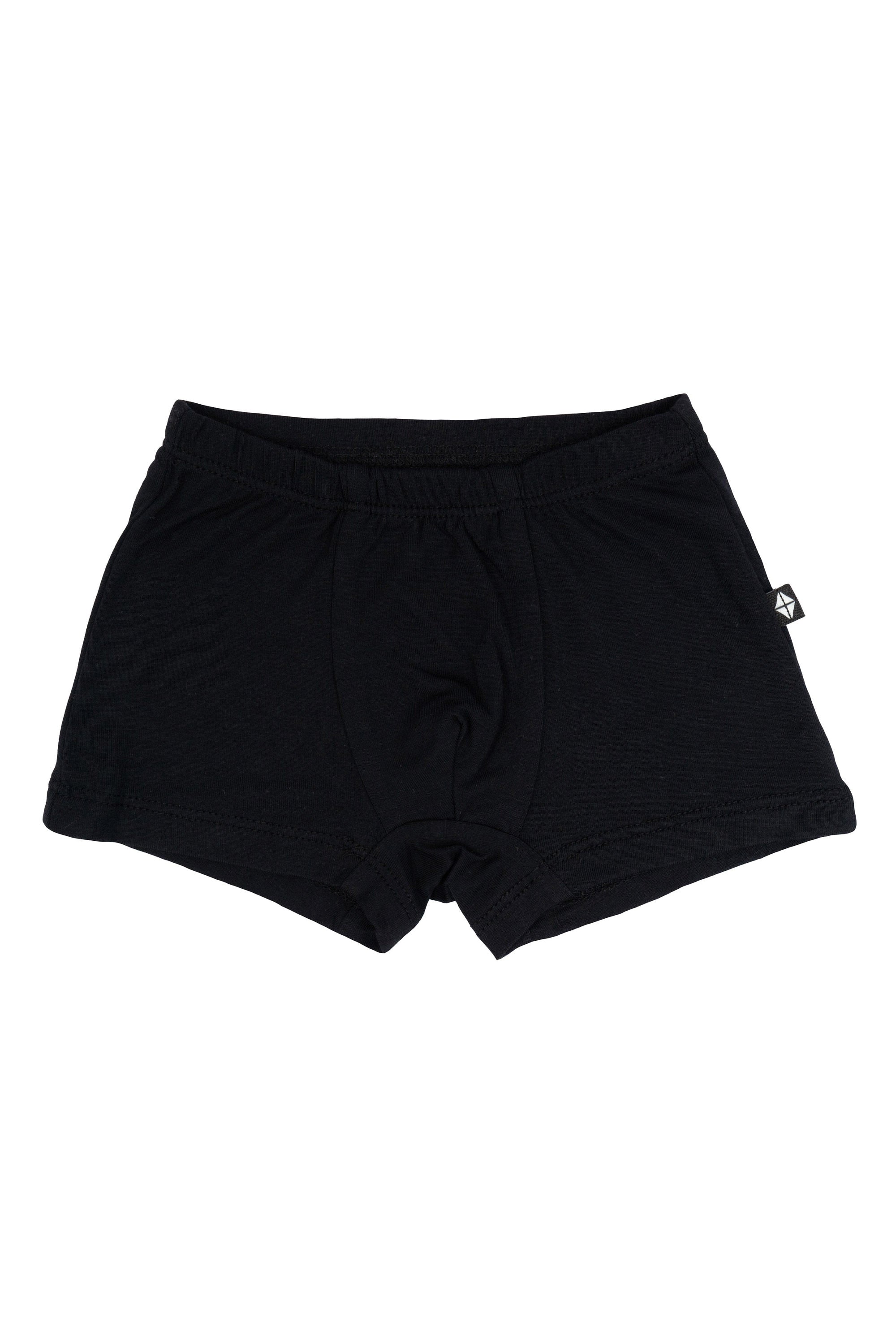 Product photo of the Briefs in Midnight