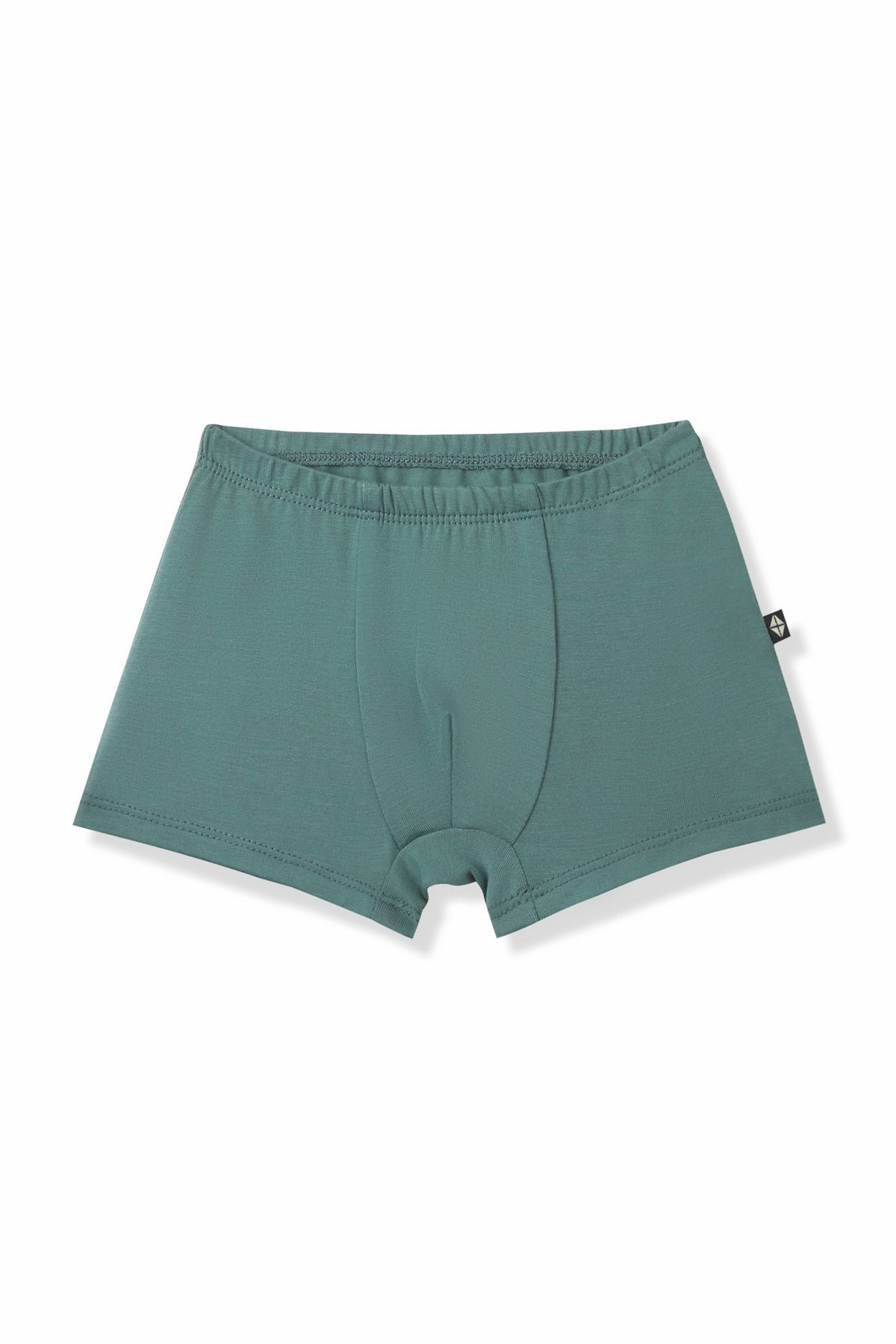 Briefs in Pine on a white background