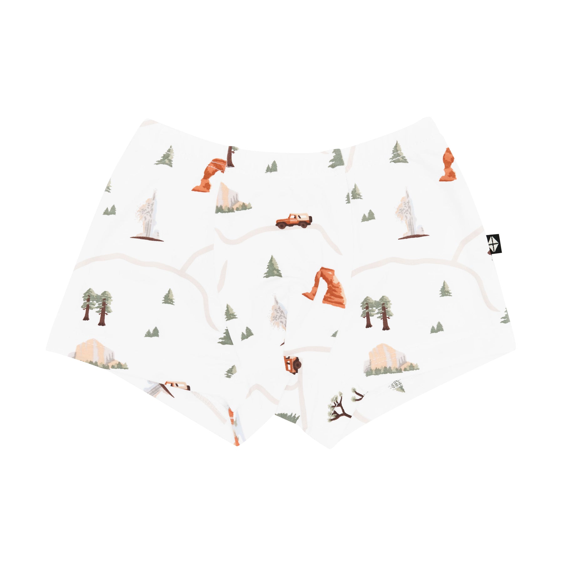 Product photo of the Briefs in Road Trip