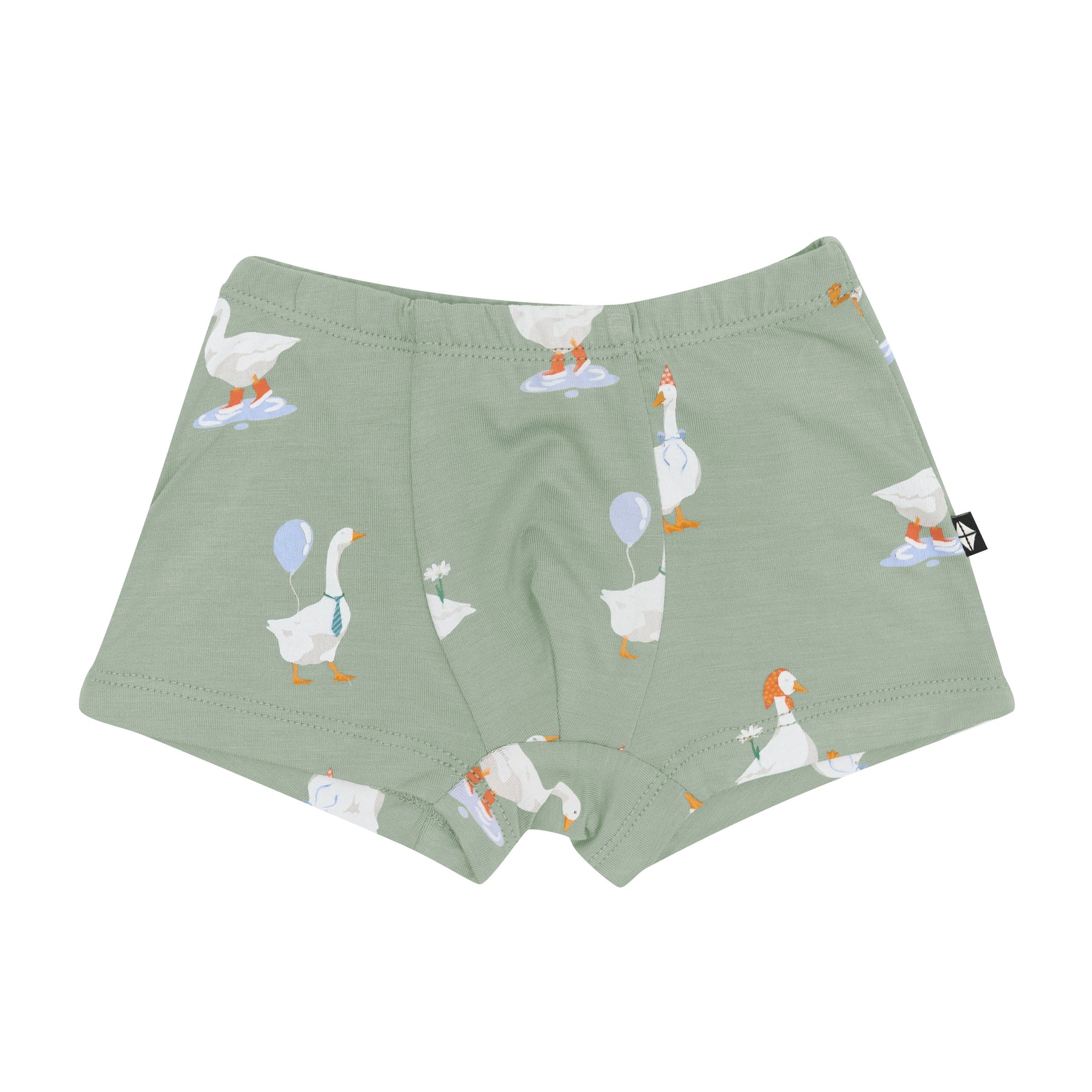 Product photo of the briefs in Silly Goose