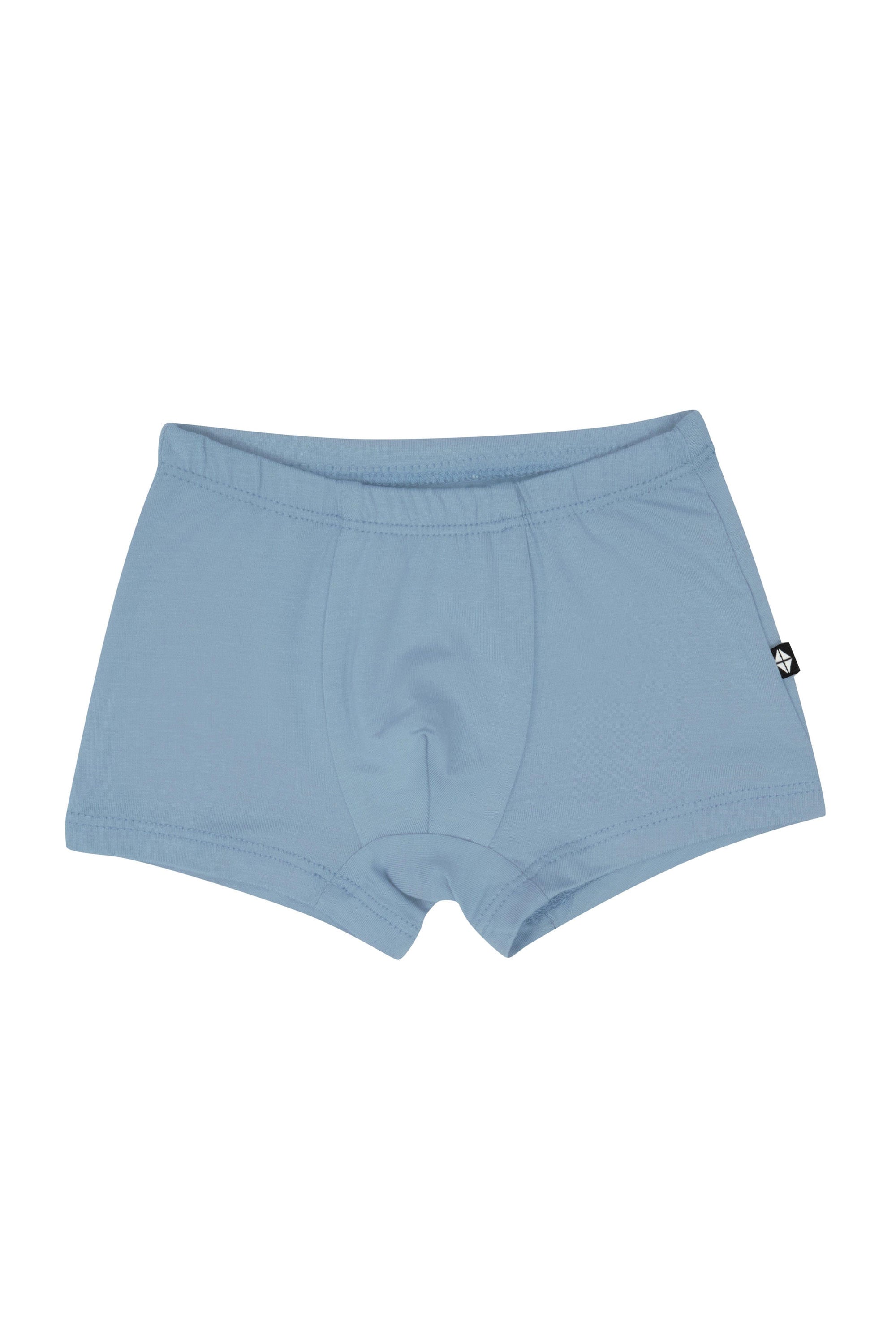 Product photo of the Briefs in Slate