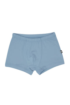 Product photo of the Briefs in Slate