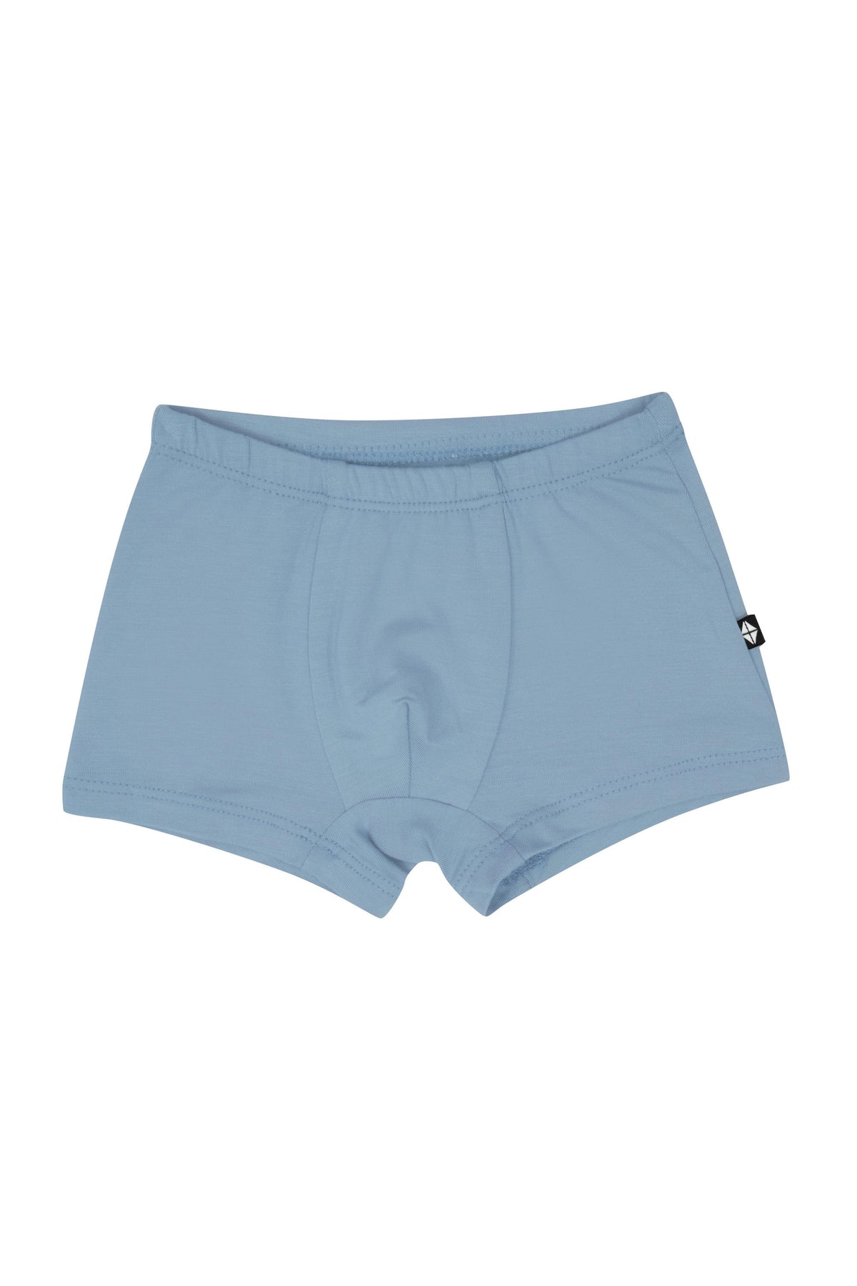 Briefs Slate