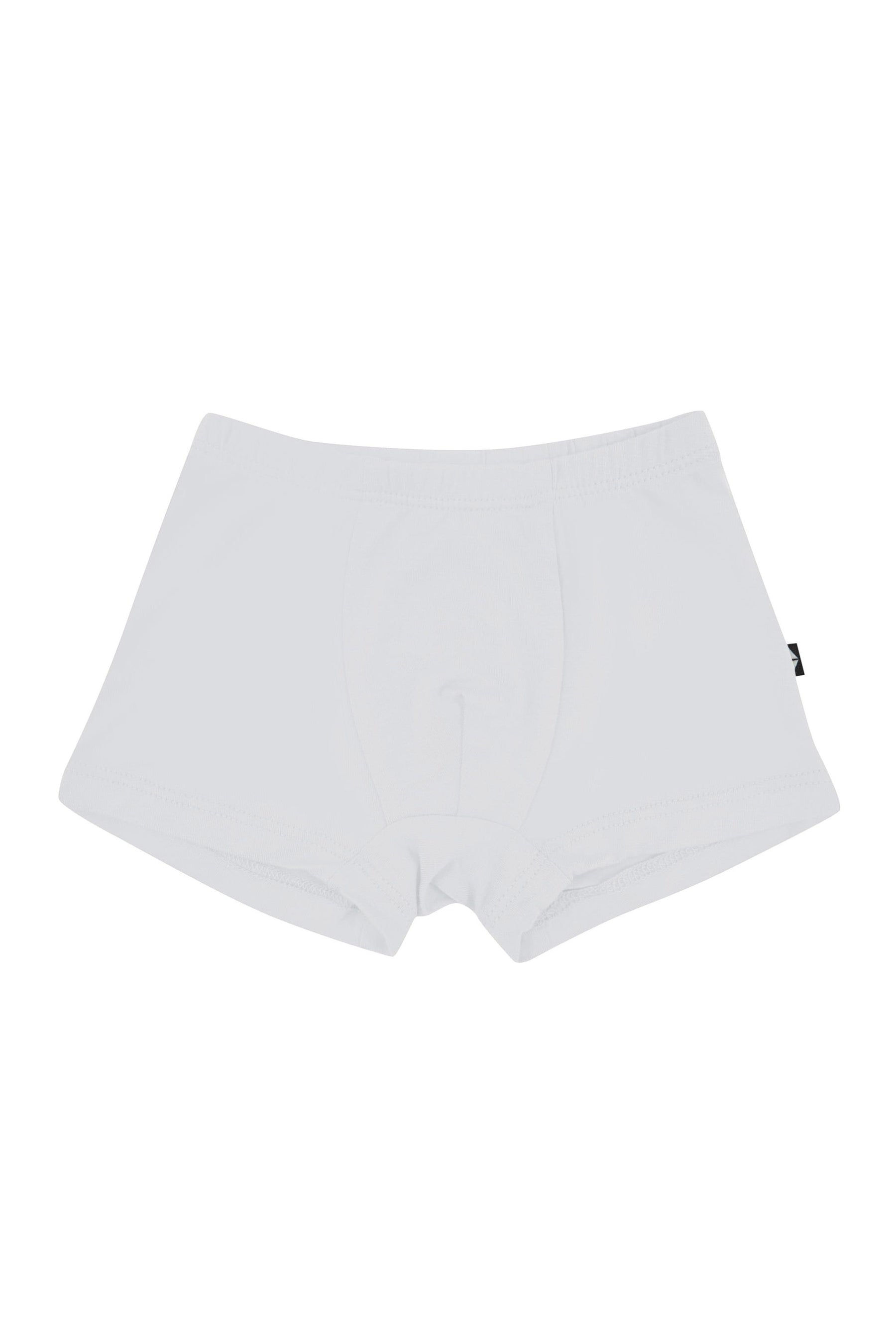 Product photo of the Briefs in Storm