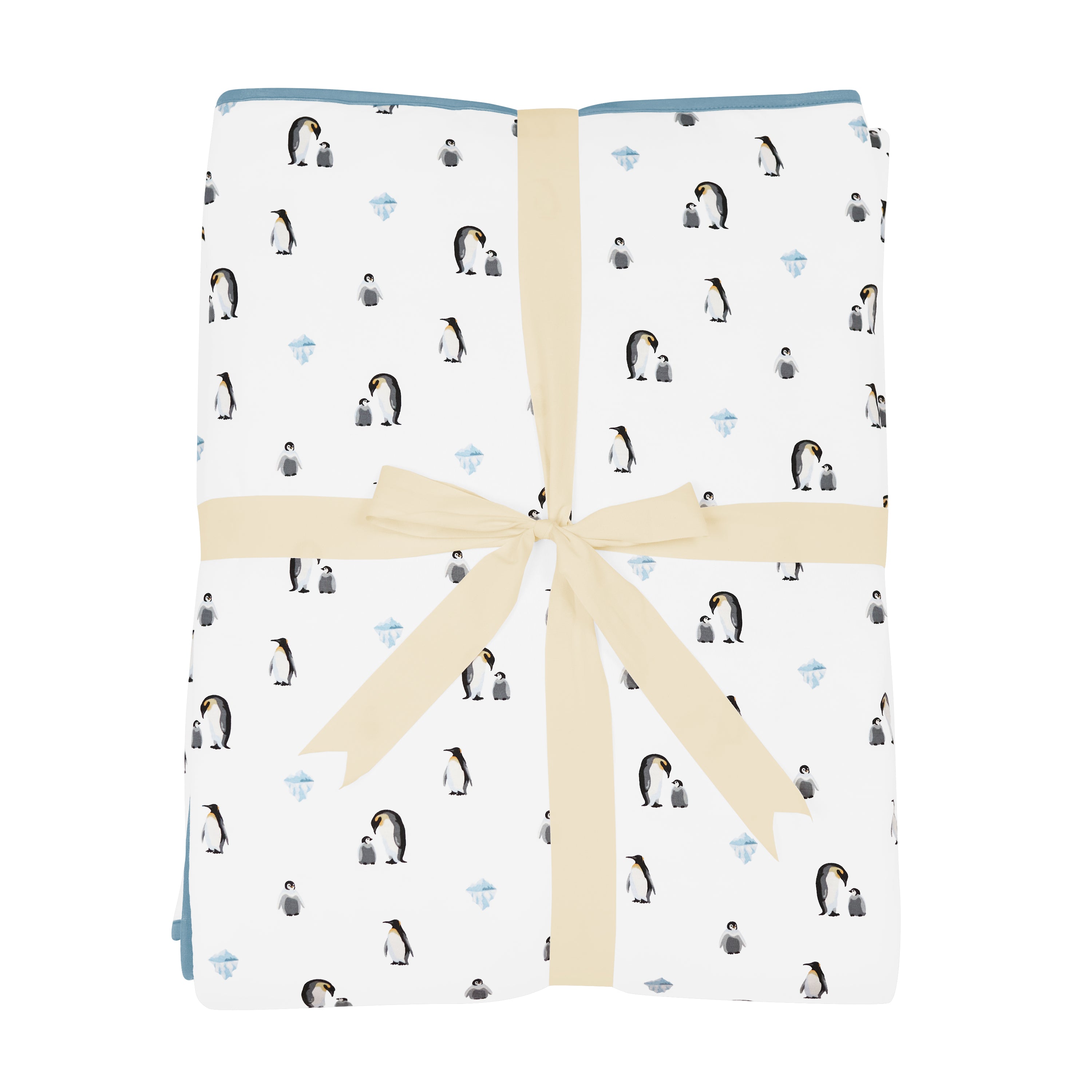 Youth Blanket in Penguin 2.5