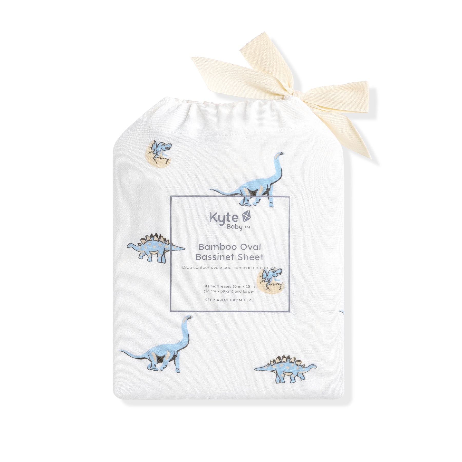 Youth Blanket in Jurassic 1.0 shown in its packaging