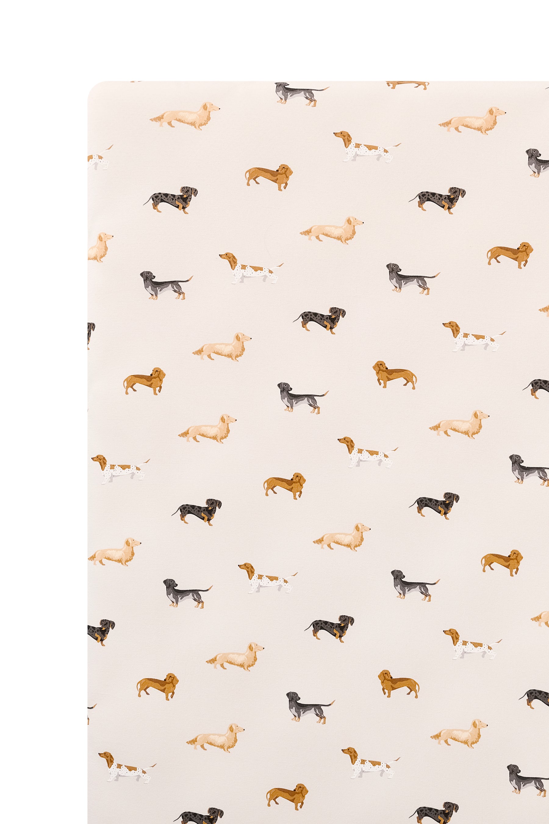 Beige Twin Sheet in Dachshund print on a white background