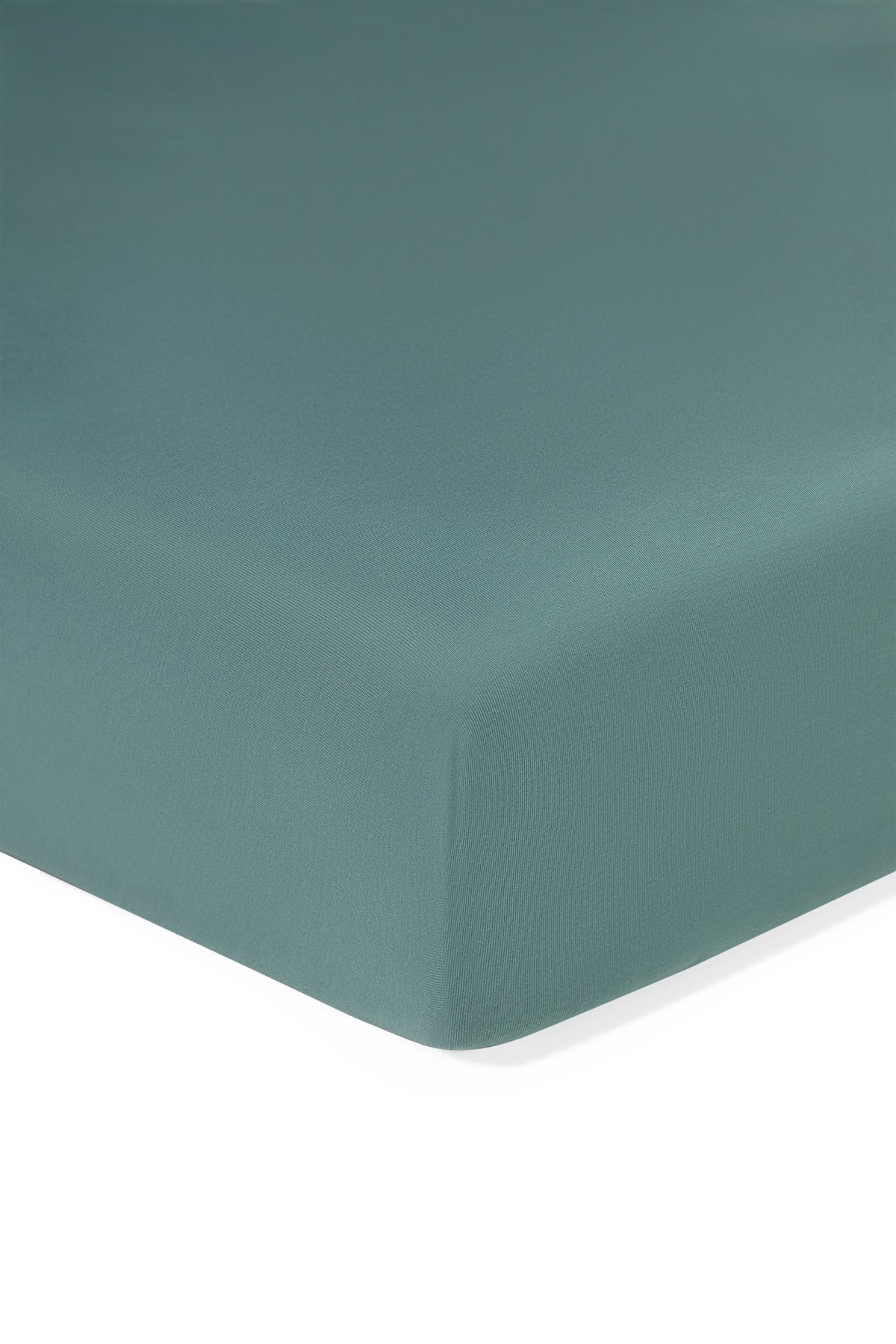 Twin Sheet in Pine on a white background