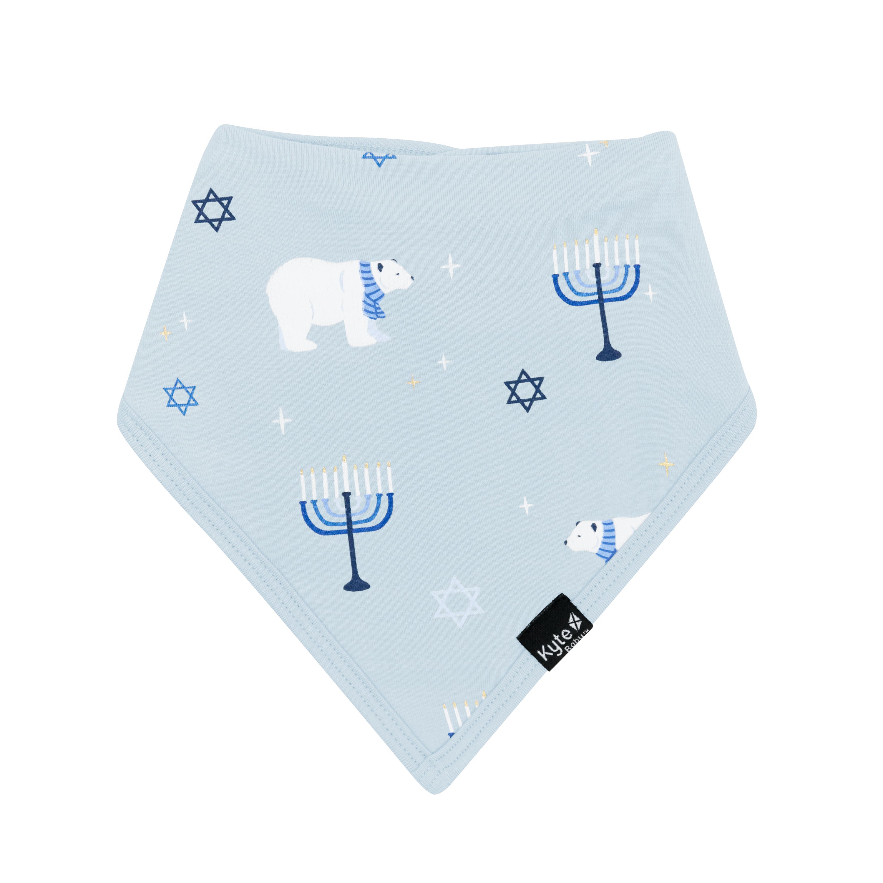 Front of the Bib in Polar Lights