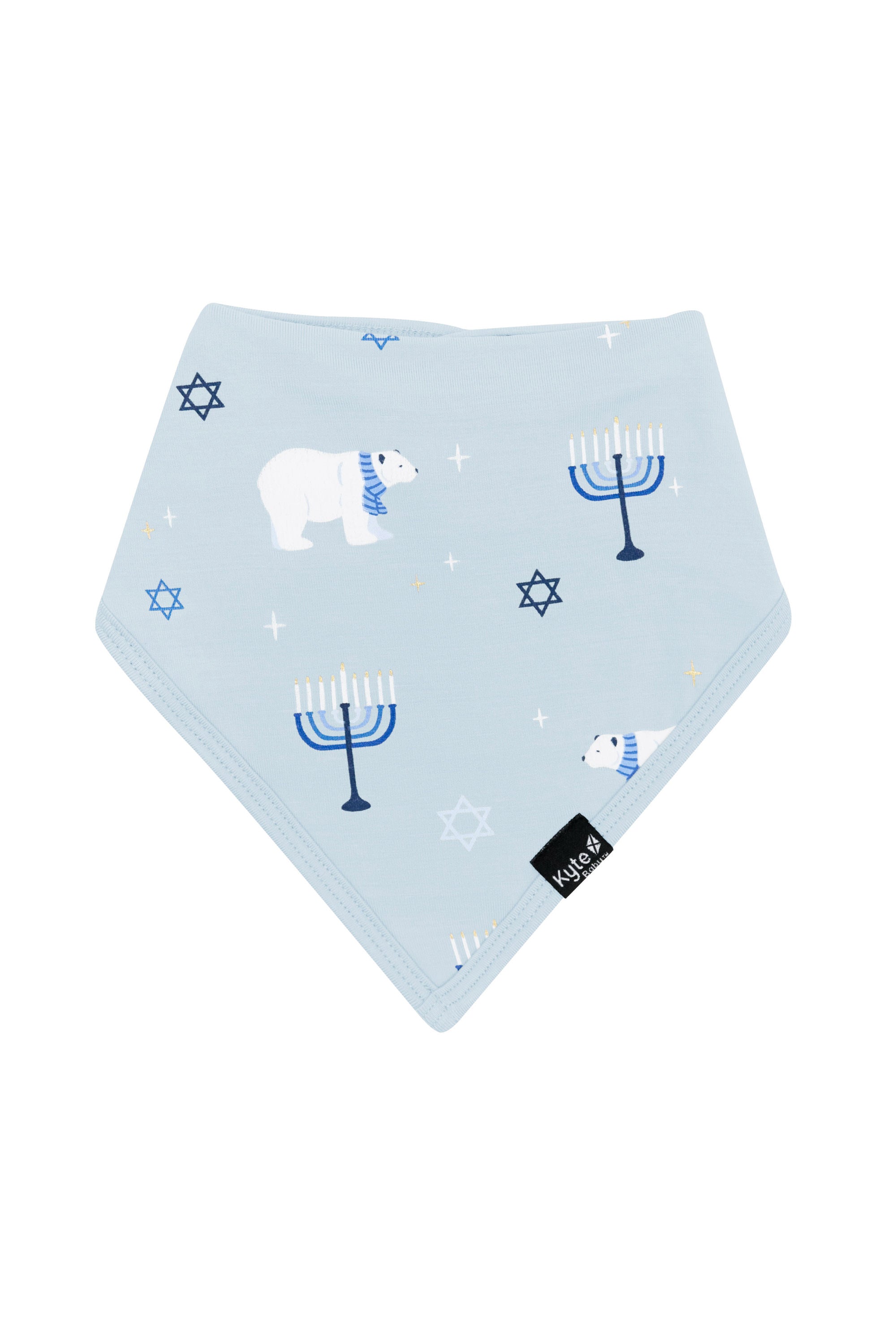 Front of the Bib in Polar Lights