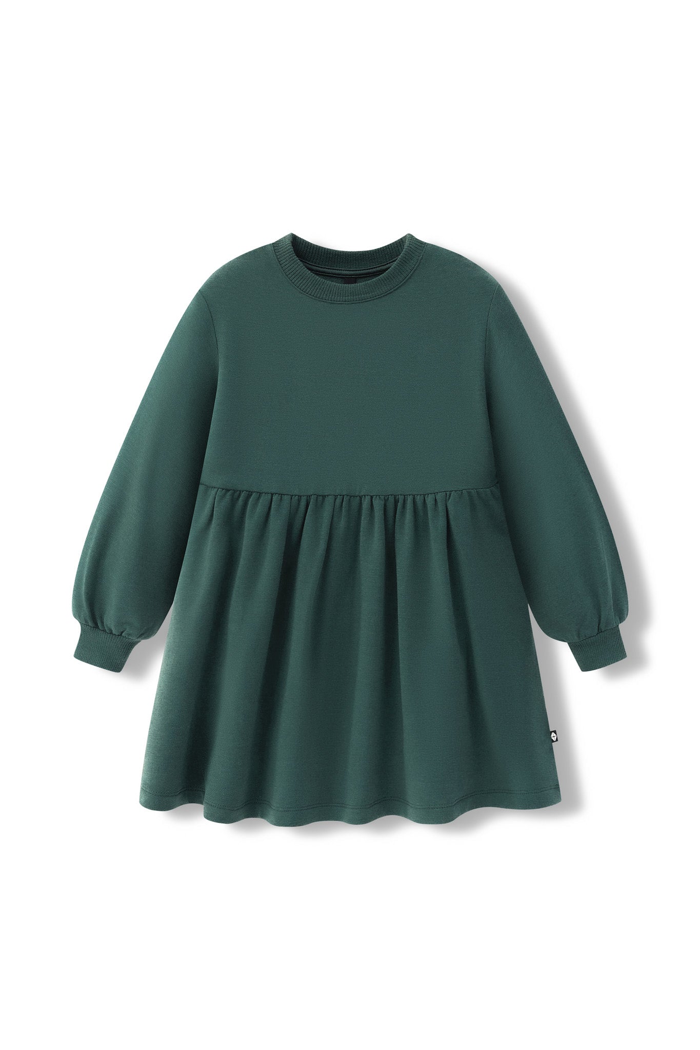 Long Sleeve Skater Dress in Cypress color on a white background