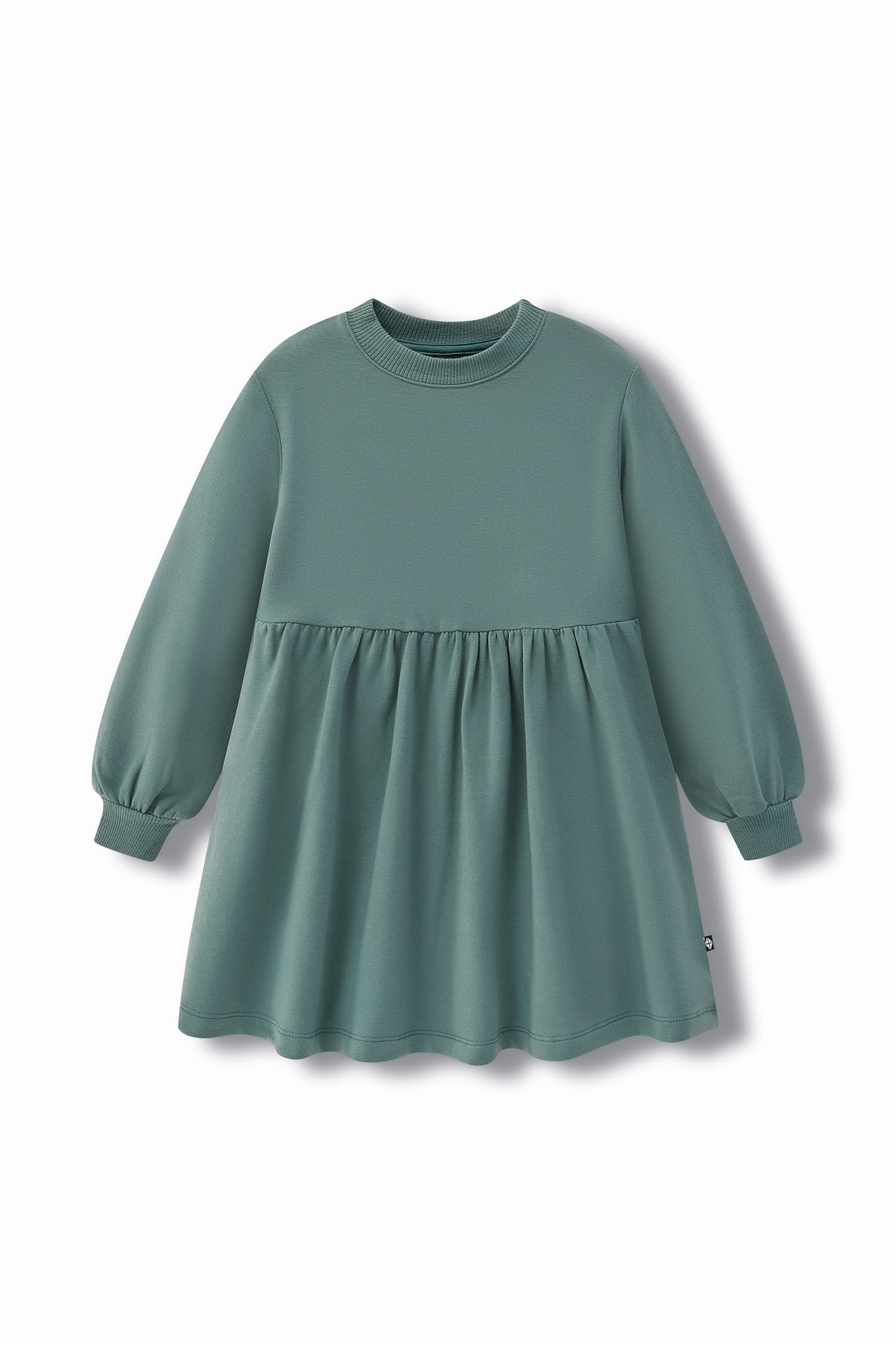 Long Sleeve Skater Dress in Pine color on a white background