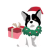 A black and white dog wearing a red Santa hat and green holly wreath, standing next to a small red gift box on a white background.
