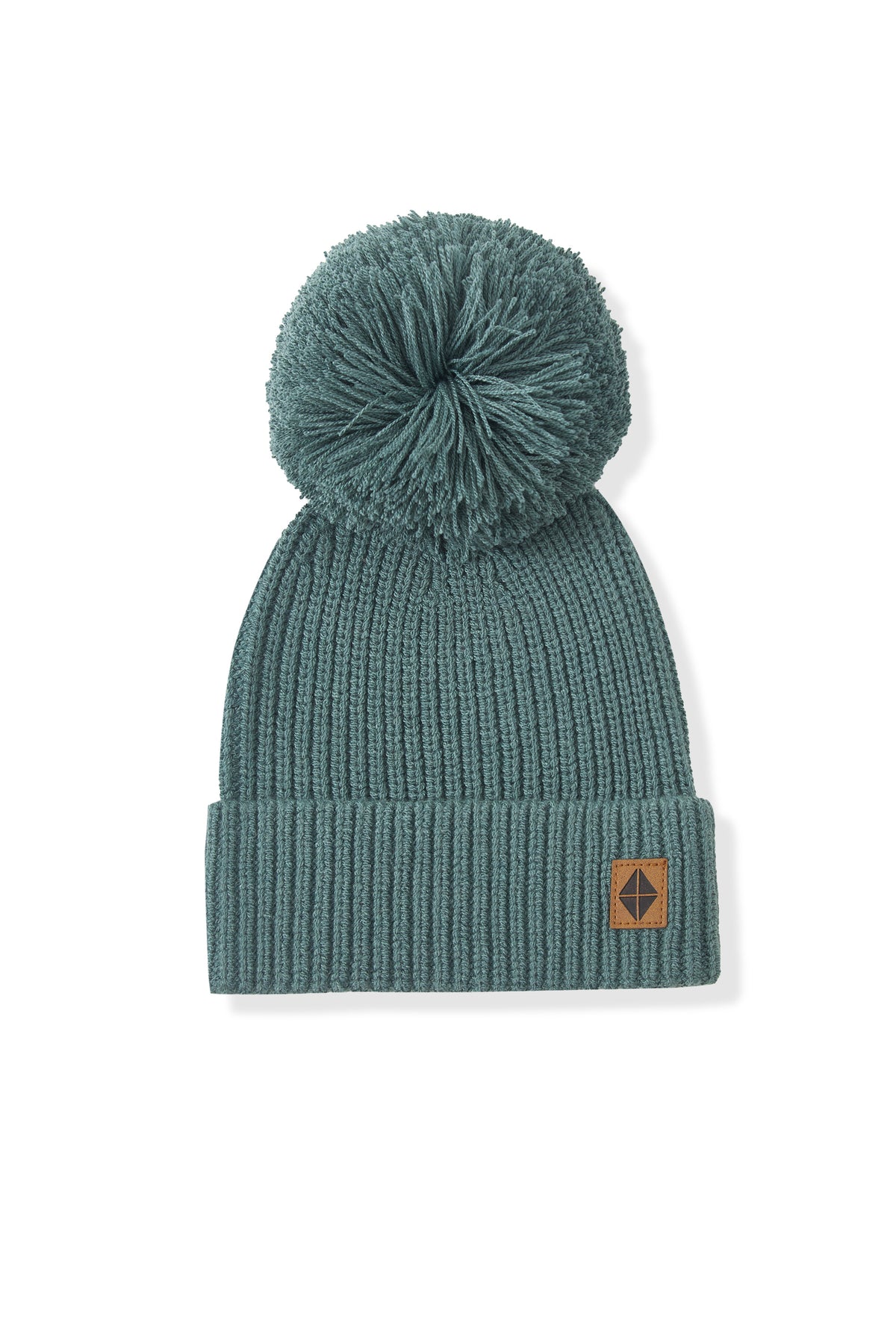Chunky Knit Pom Beanie in Pine