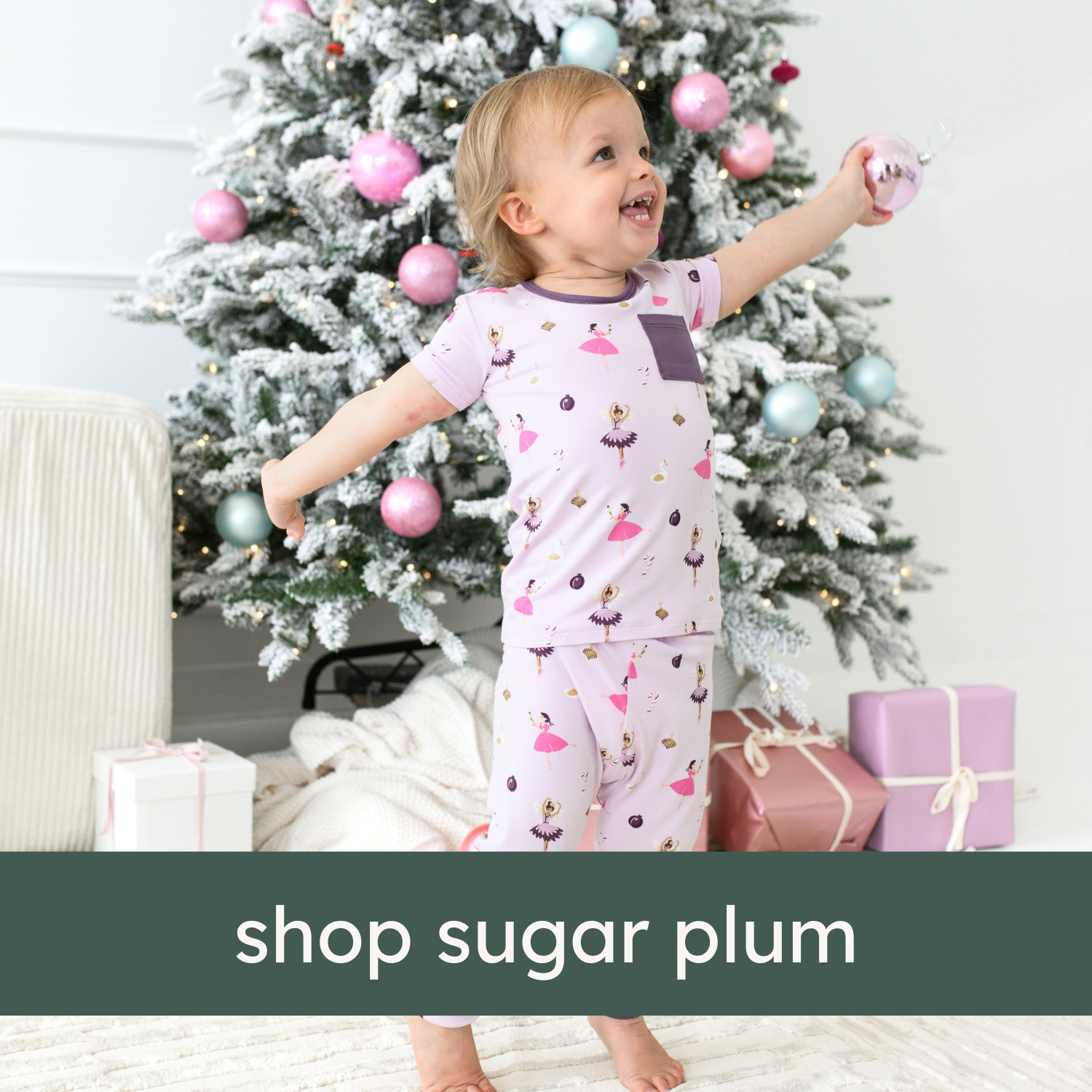 shop sugar plum graphic